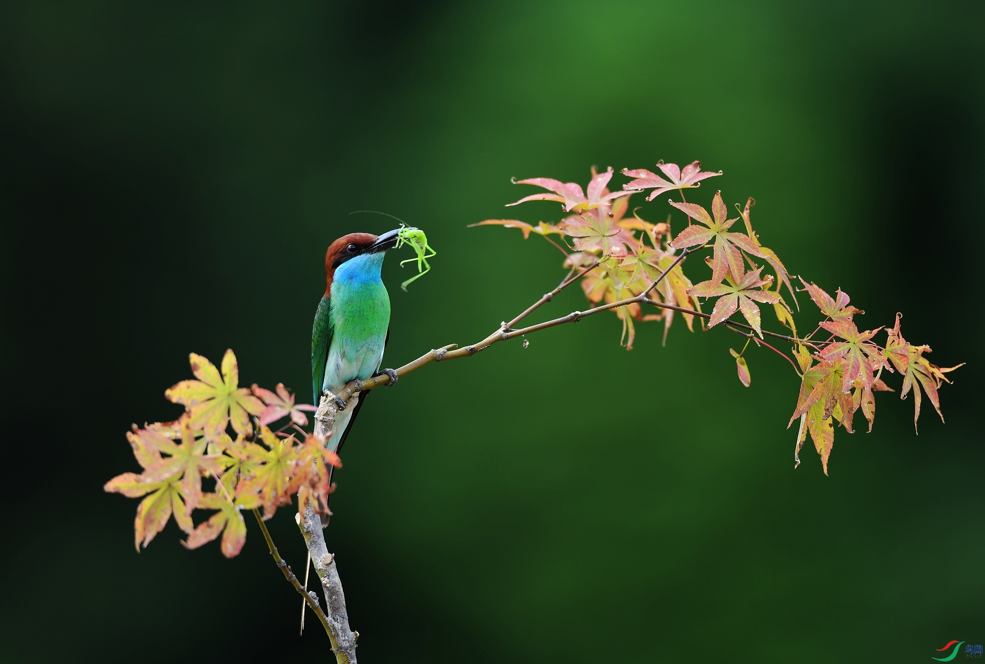 DSC_0856.jpg