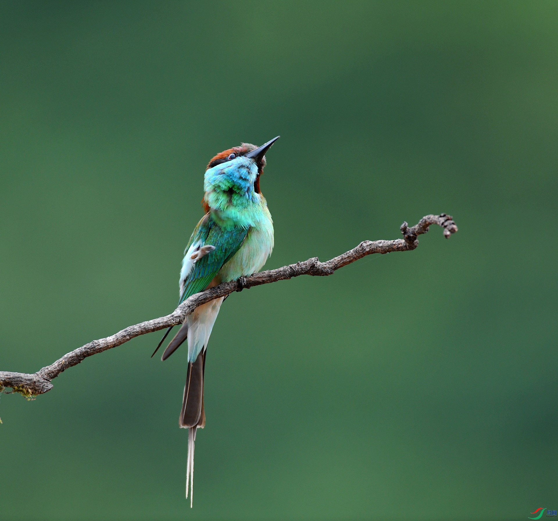 DSC_0869.jpg