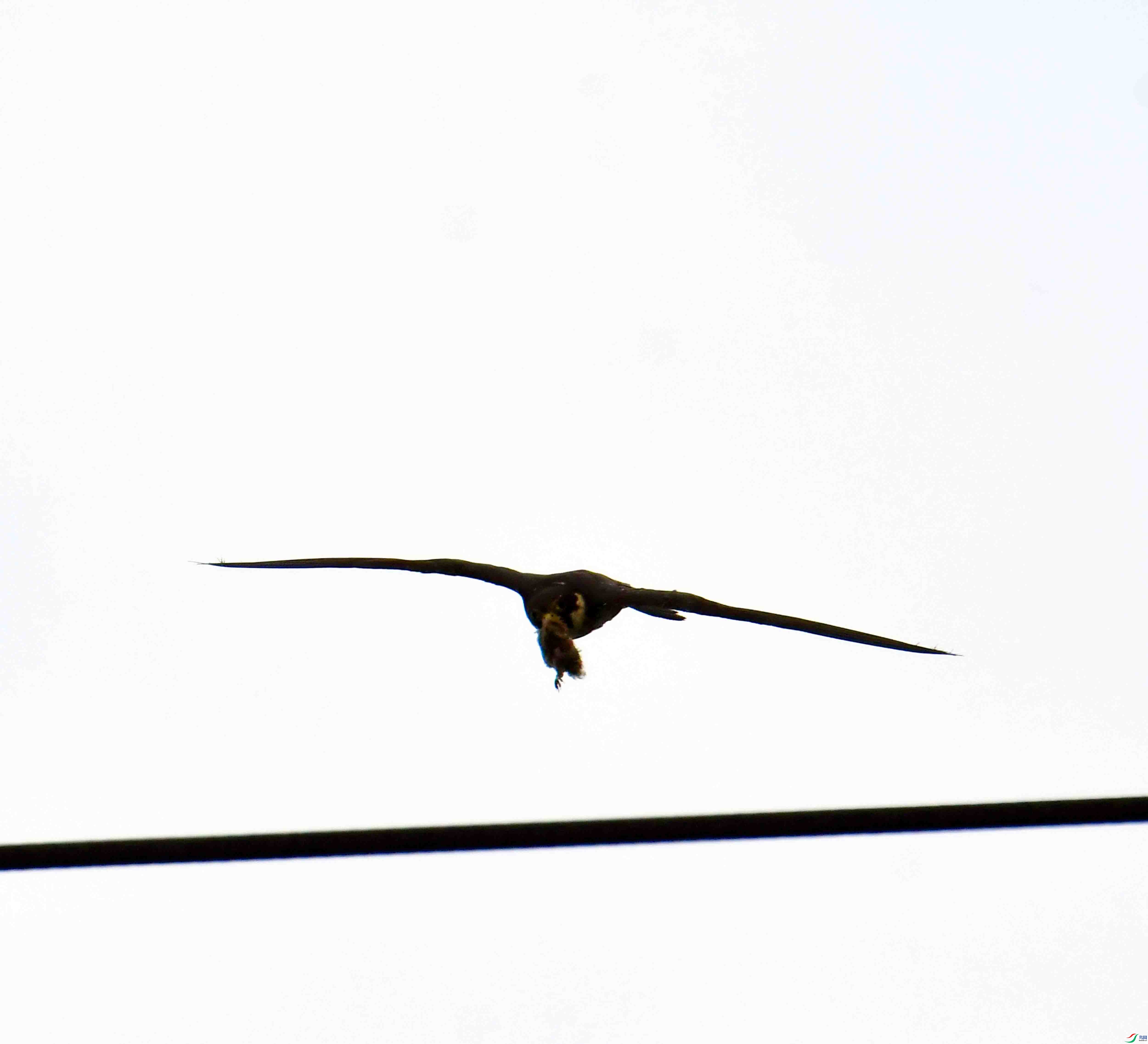 DSC_5251.JPG