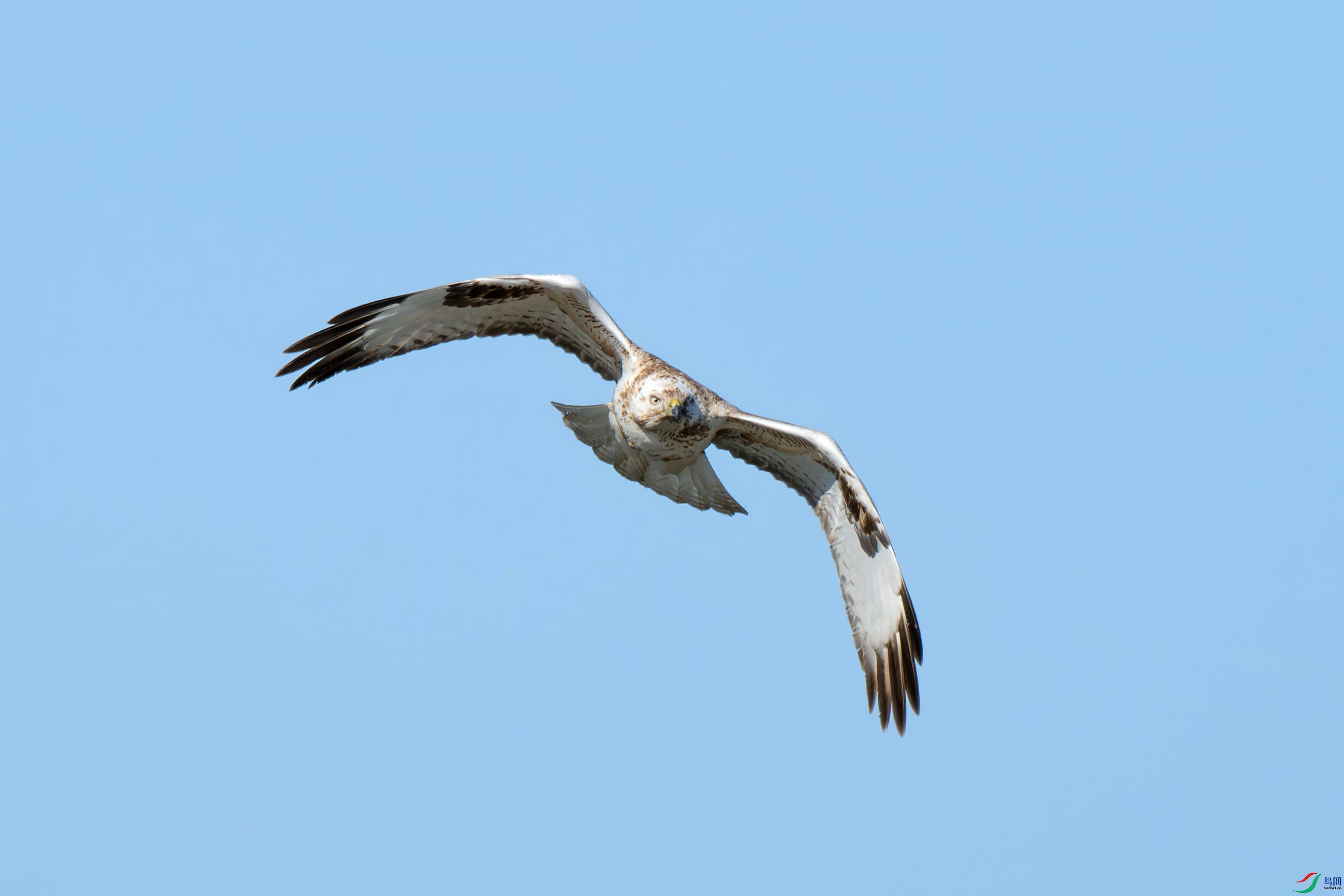 DSC_1760-jpg.jpg
