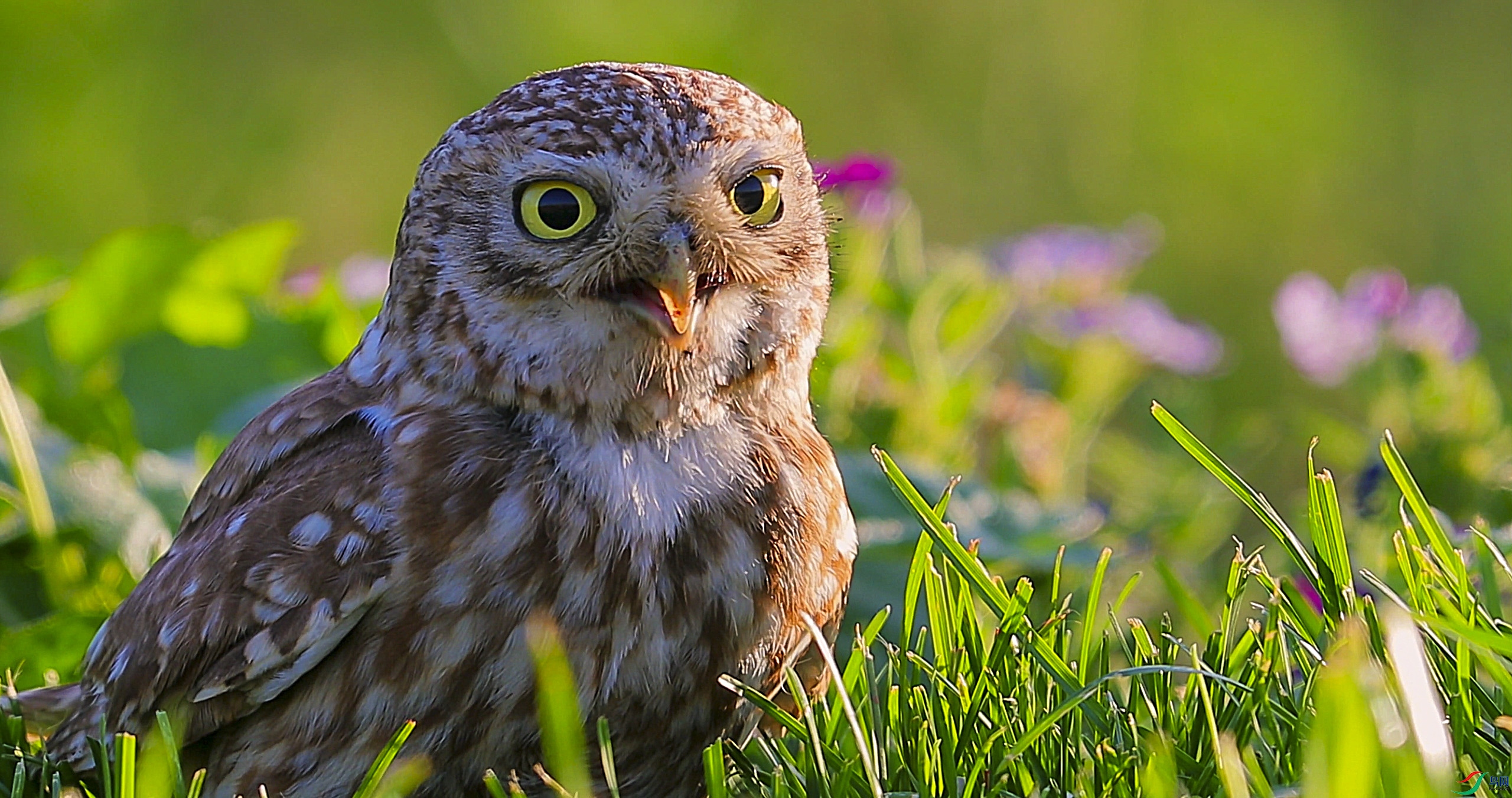 8��16�� (1)---.jpg