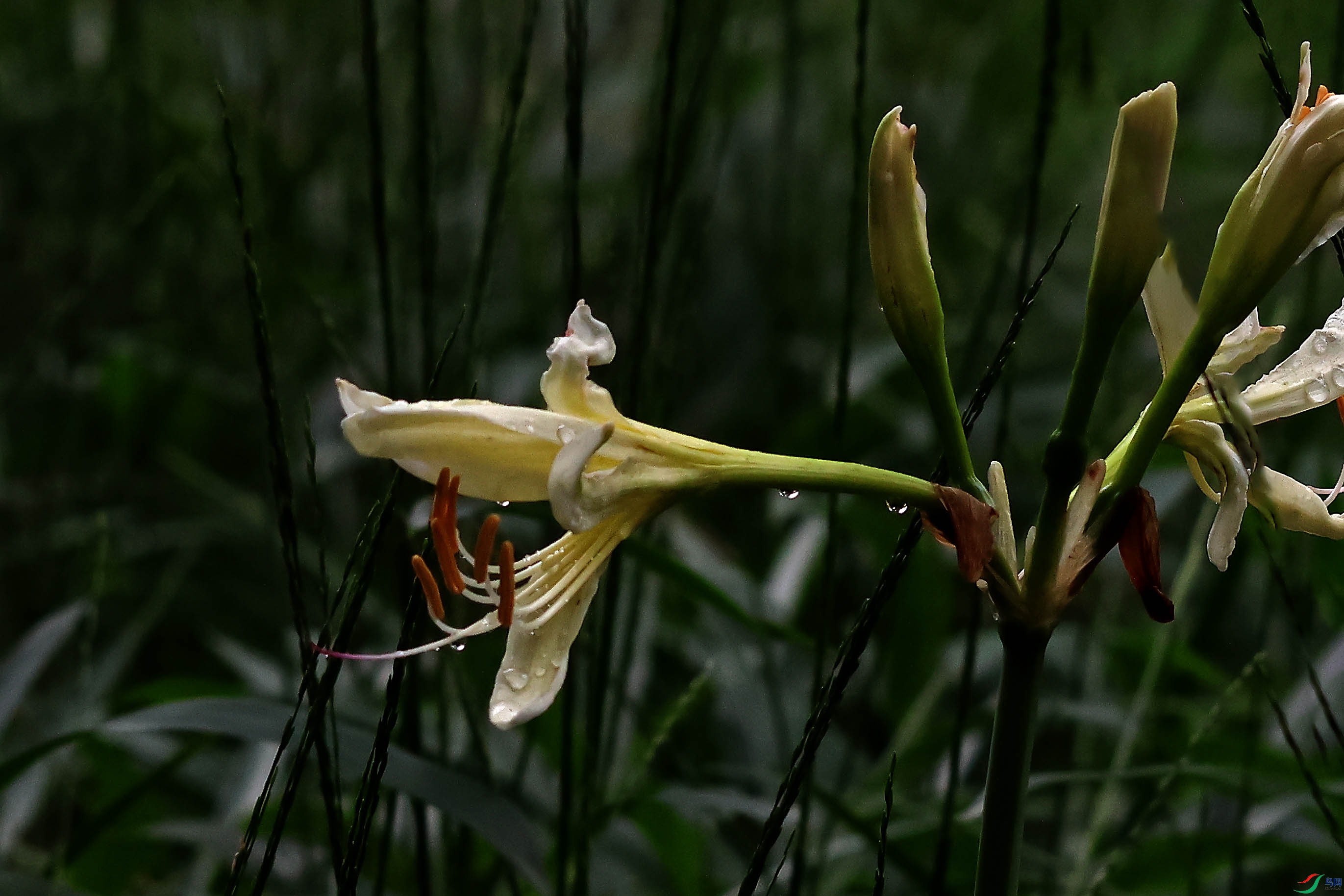 2G9A8355.JPG