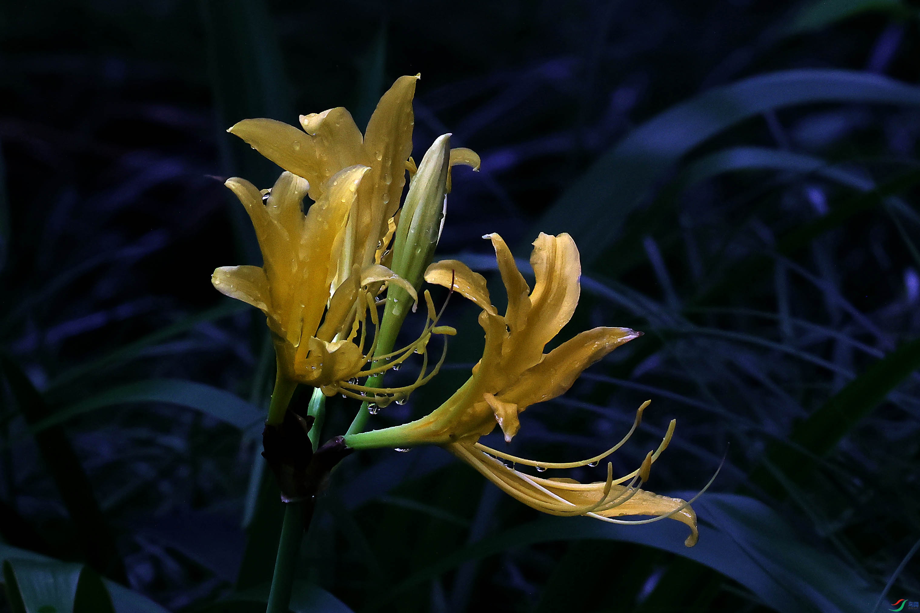 2G9A8357.JPG
