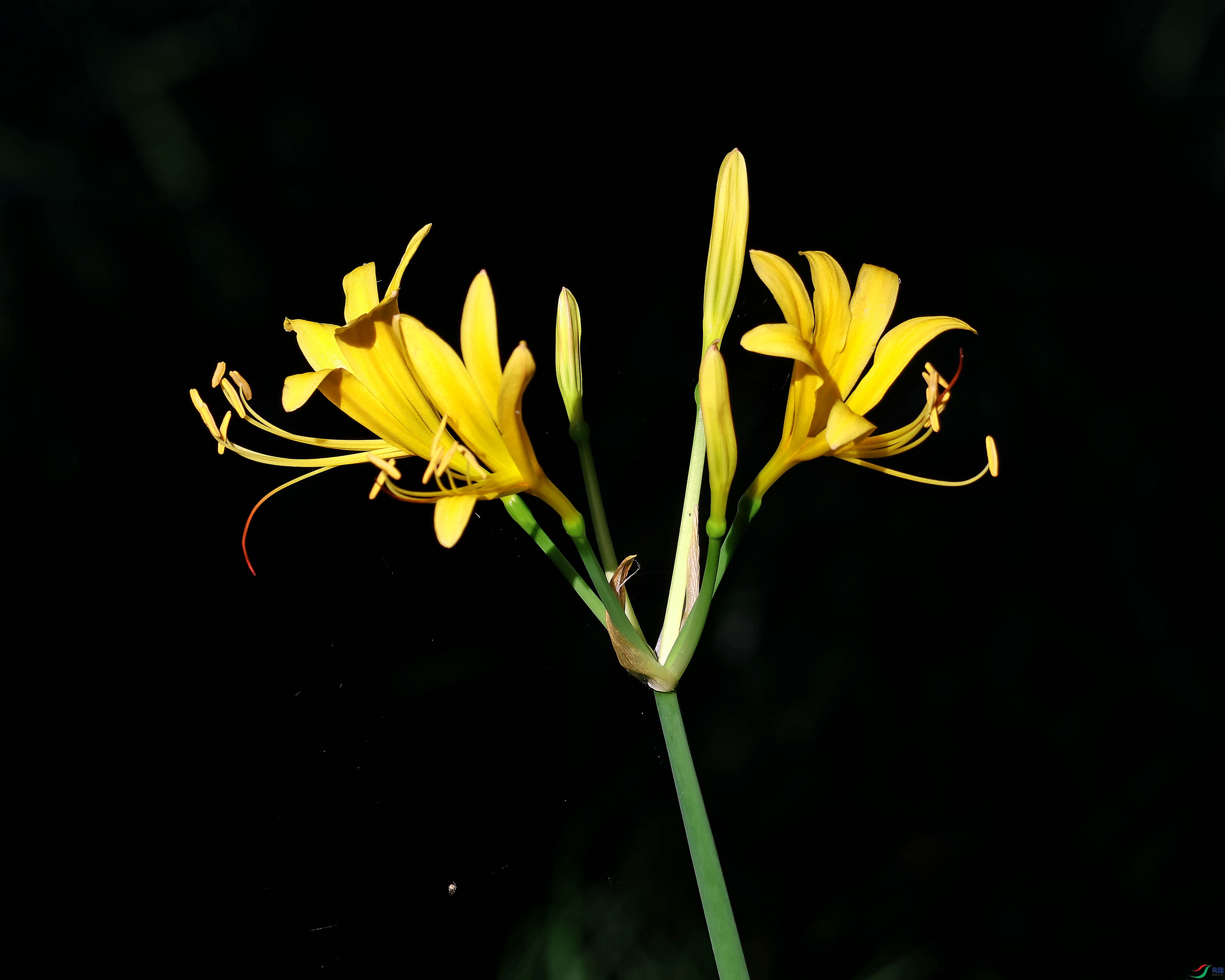2G9A9306.JPG
