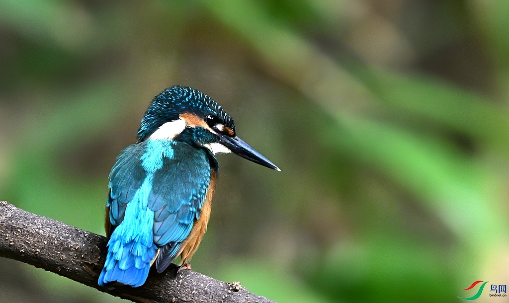 DSC_7712.JPG