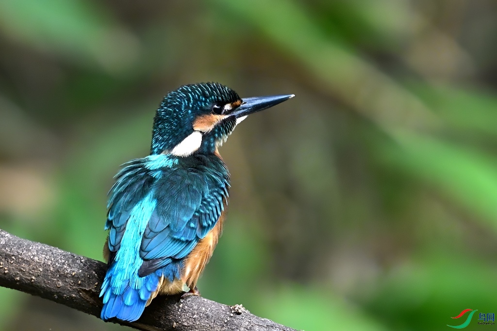 DSC_7748.JPG