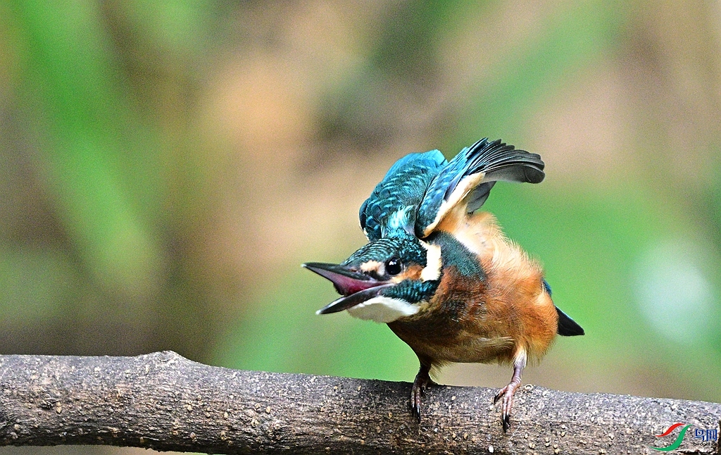 DSC_8674.JPG
