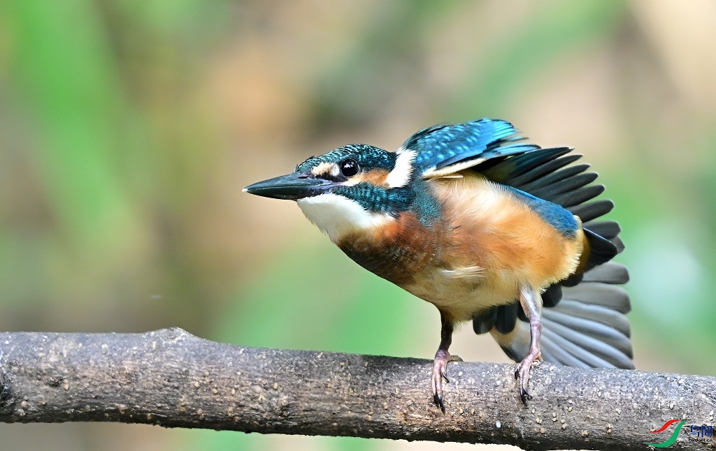 DSC_8902.JPG