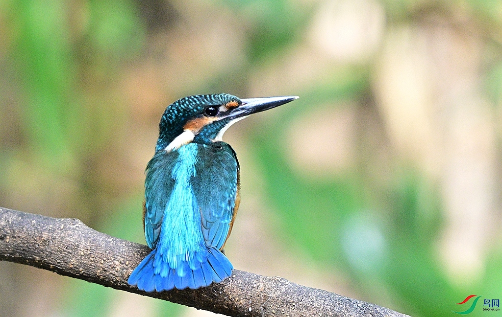 DSC_8950.JPG