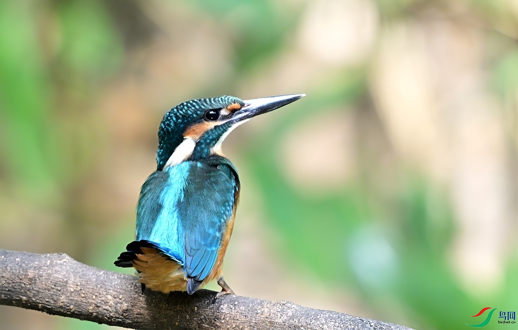 DSC_8951.JPG