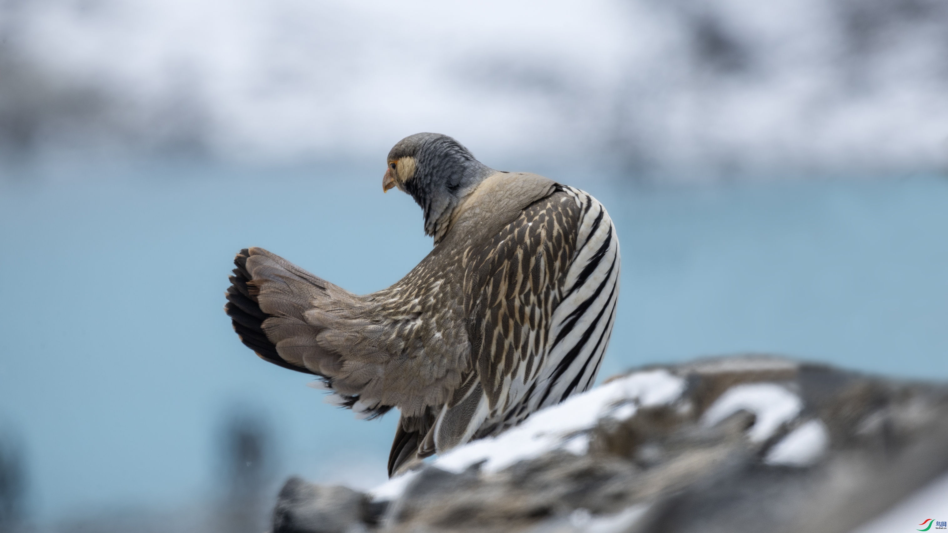 _O7A0676 ����.jpg