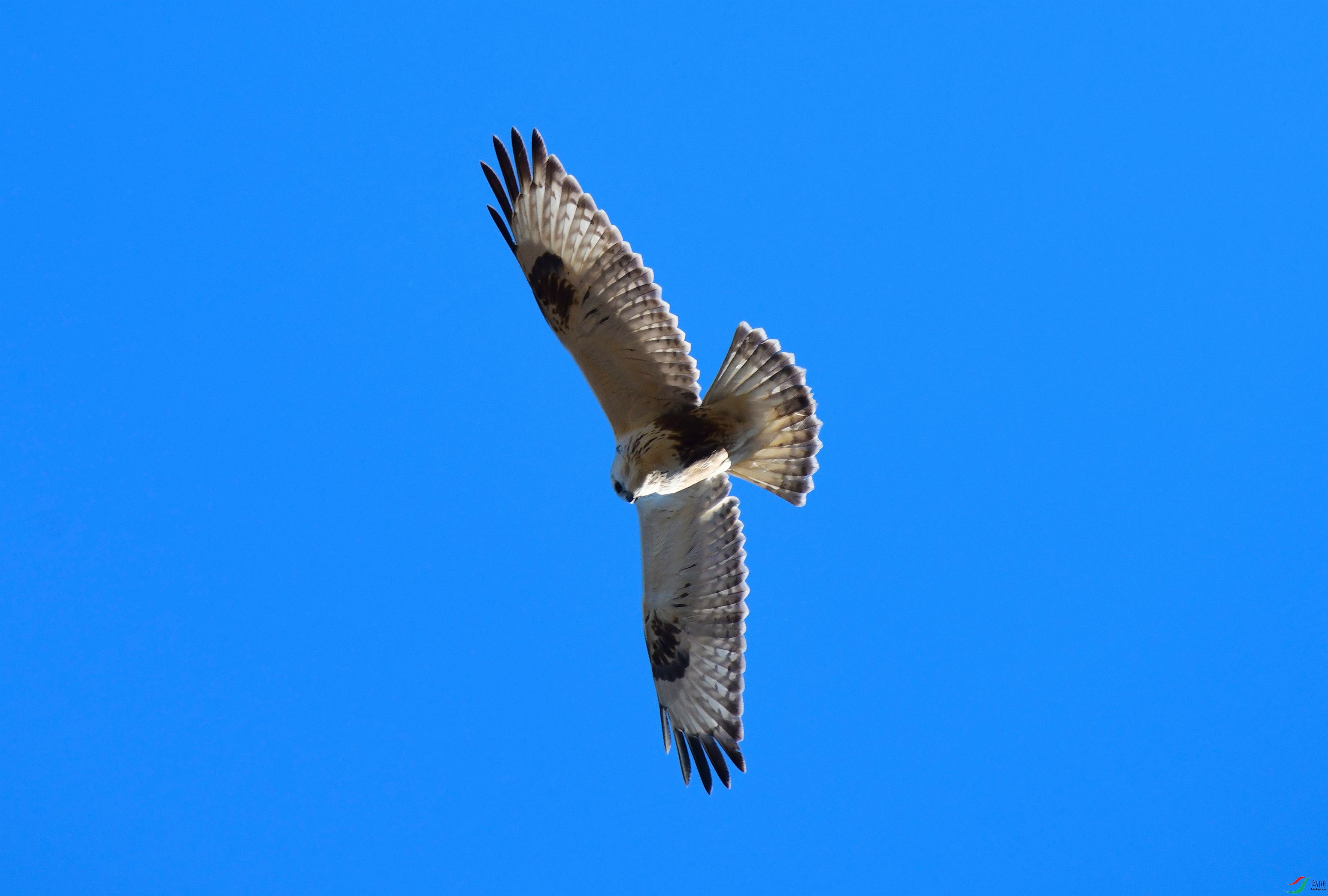 DSC_4074.JPG
