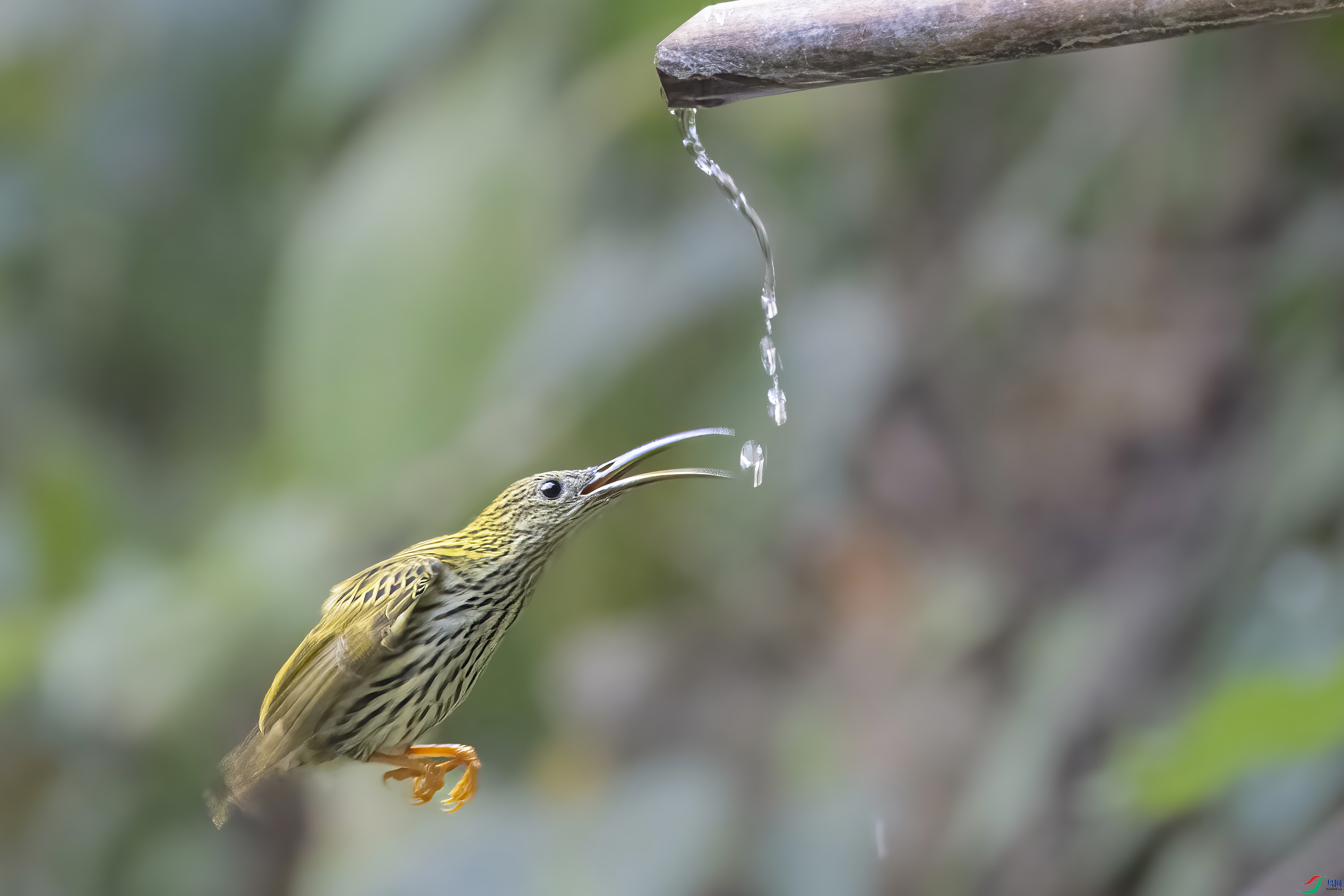 DSC_0703 ���� 2.jpeg