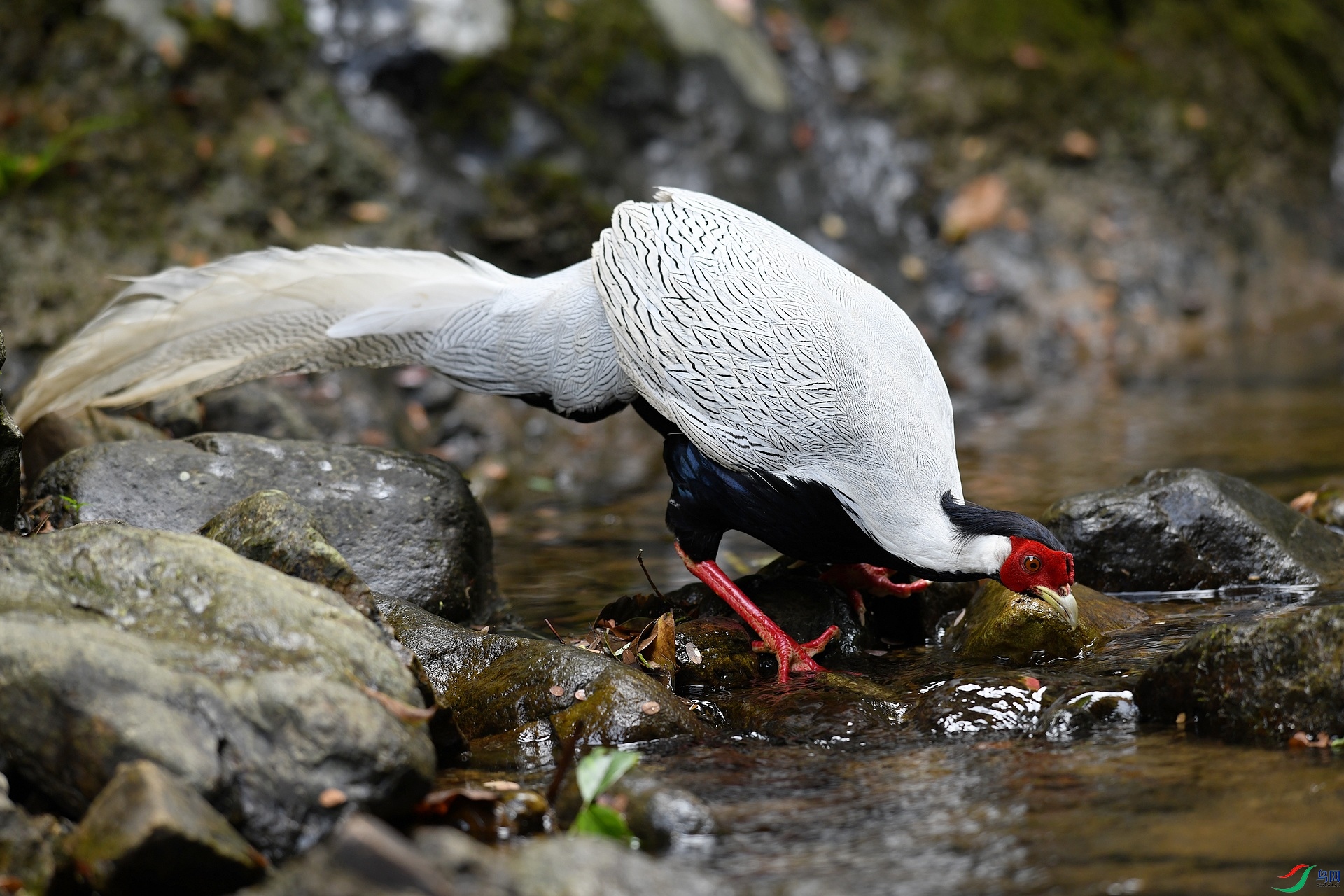 DSC_2357.jpg
