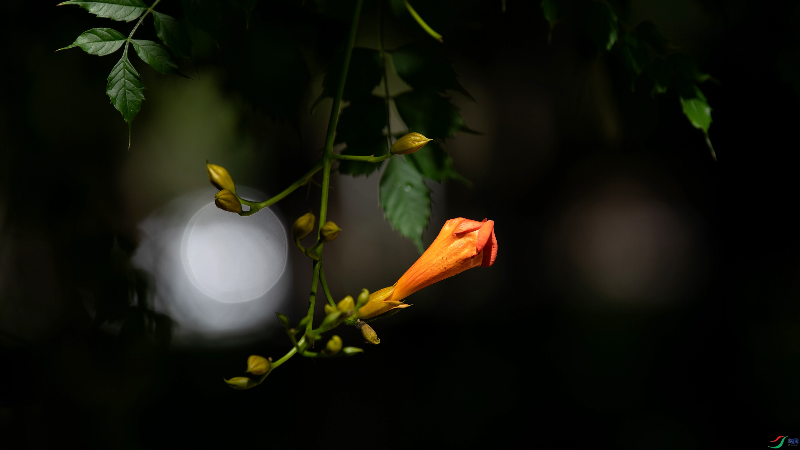 DSC_9510-20230605�ü� .jpg