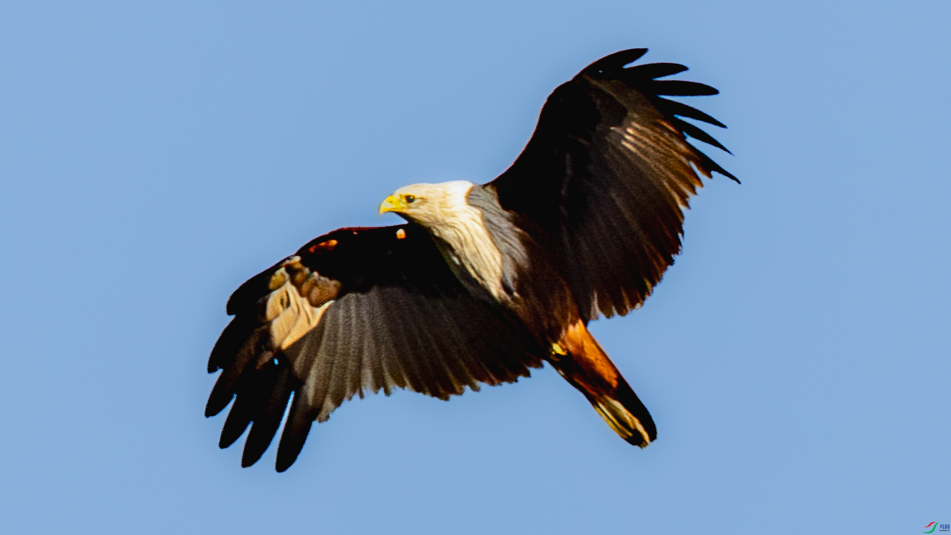 4Z6A5905.jpg