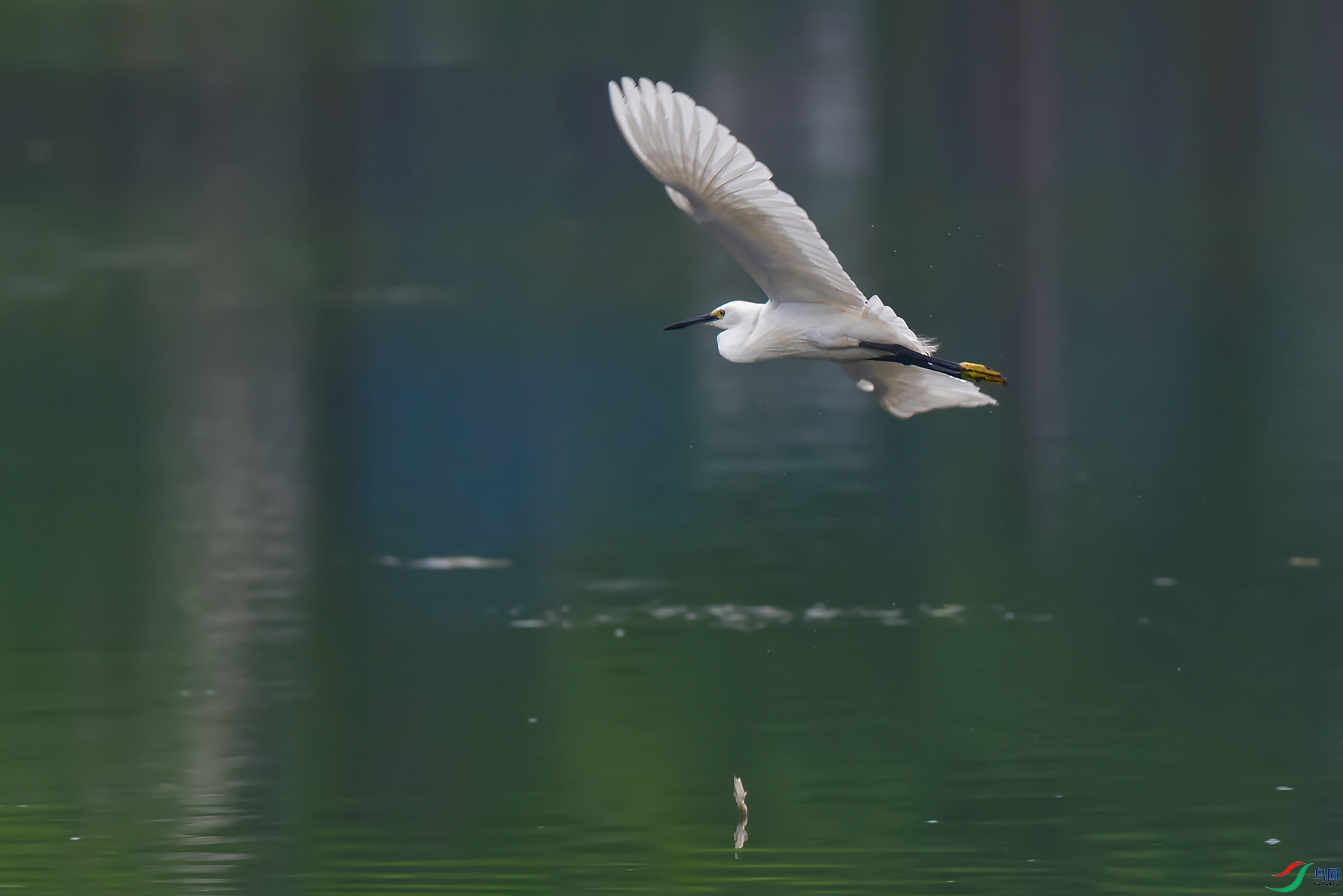 DSC_6906_DxOa.jpg