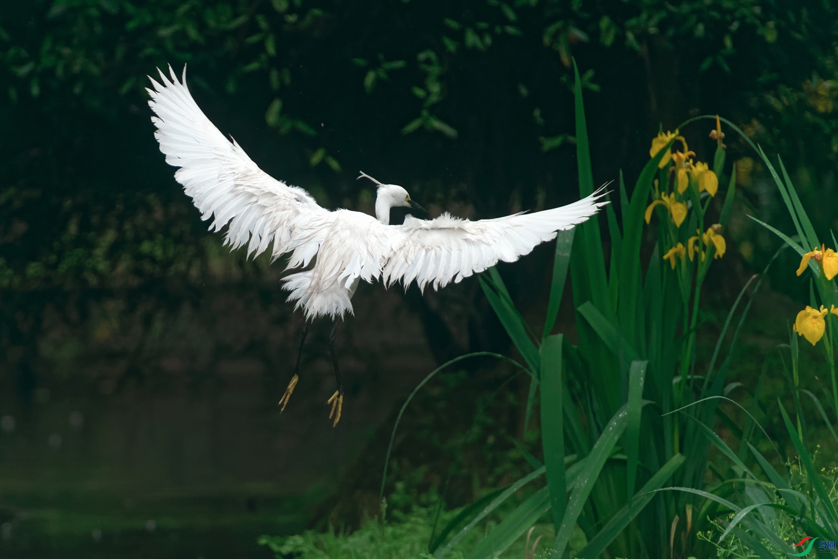DSC_0583_DxOa.jpg