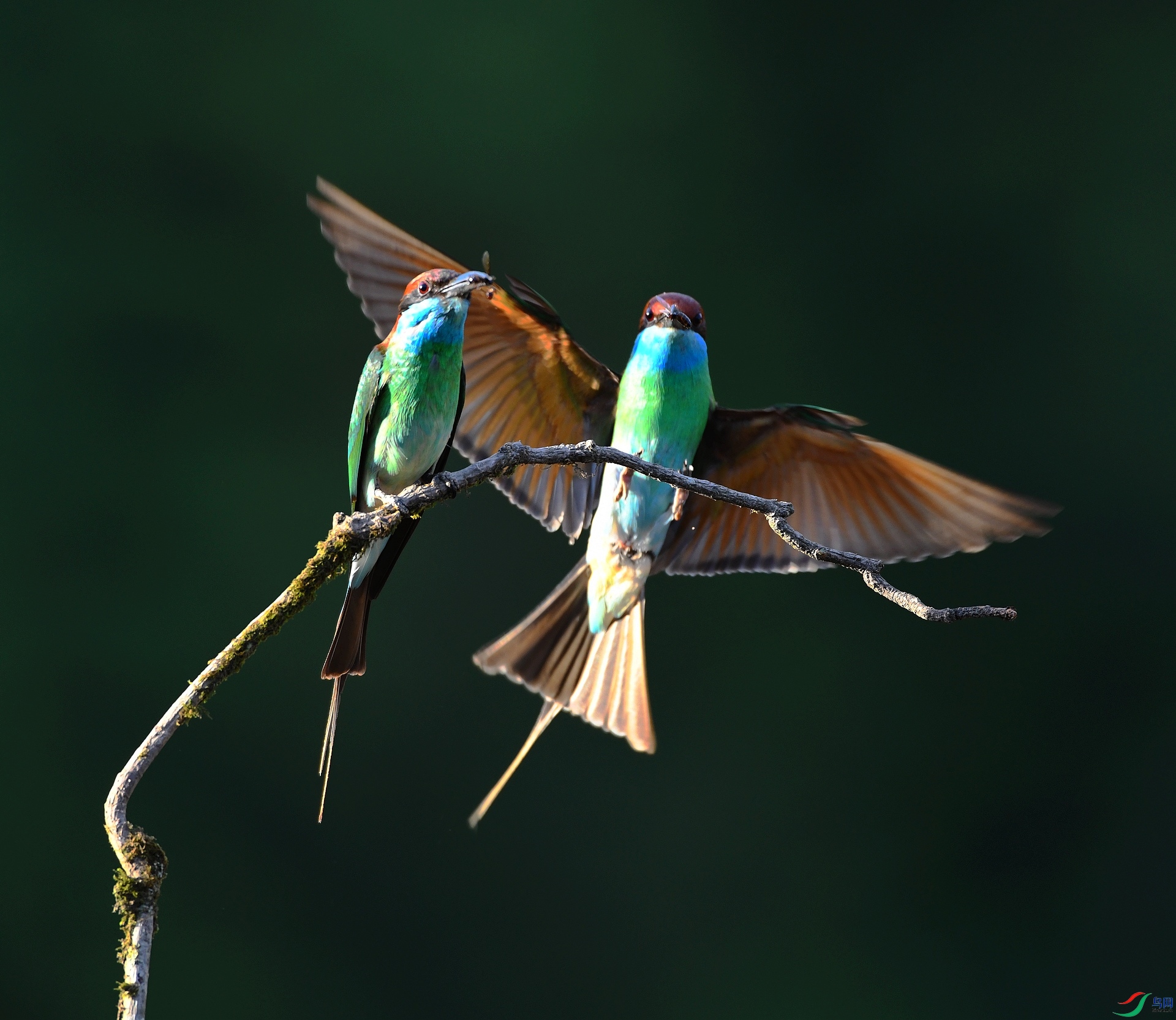 DSC_7382.jpg