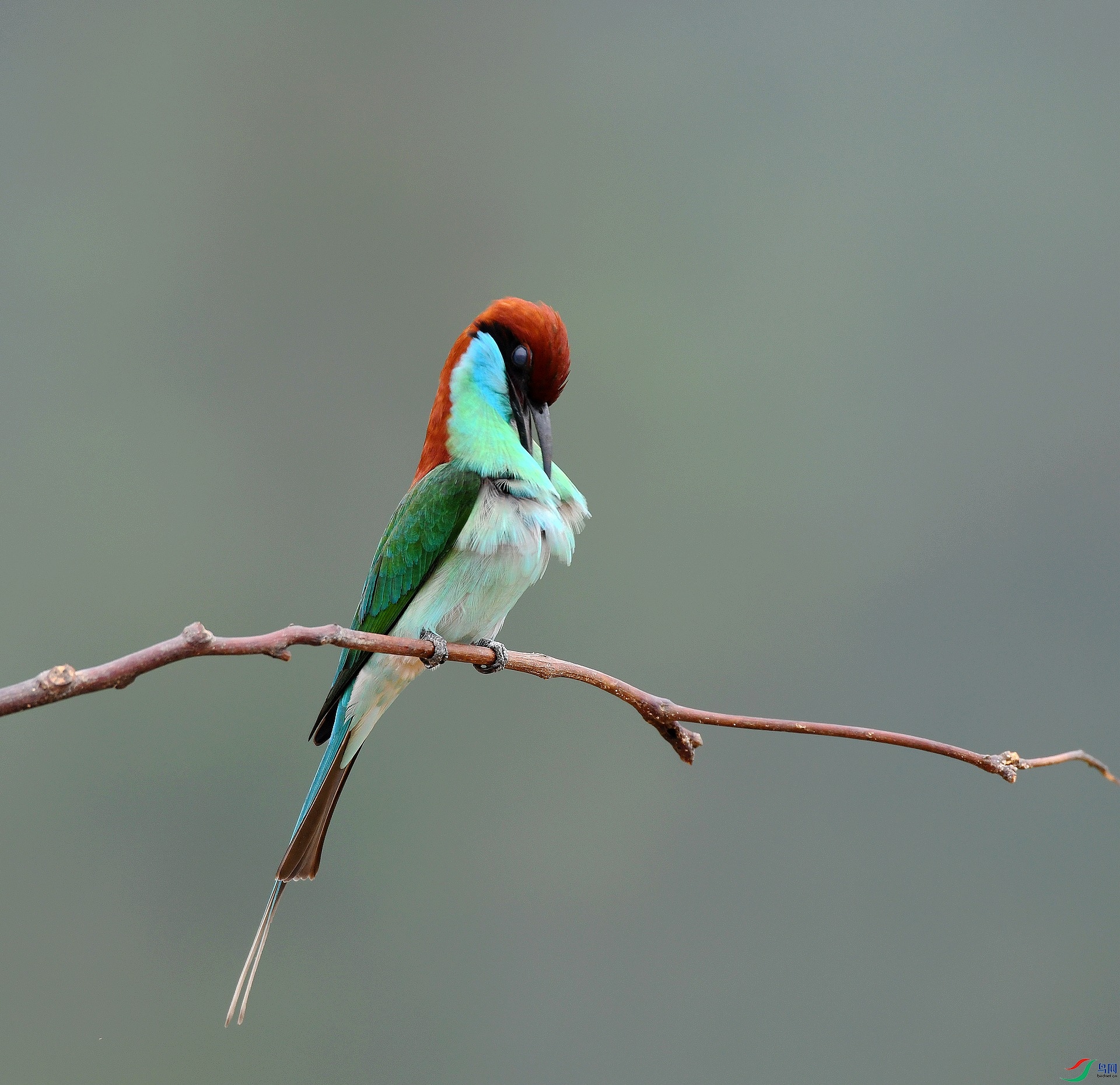 DSC_9473.jpg