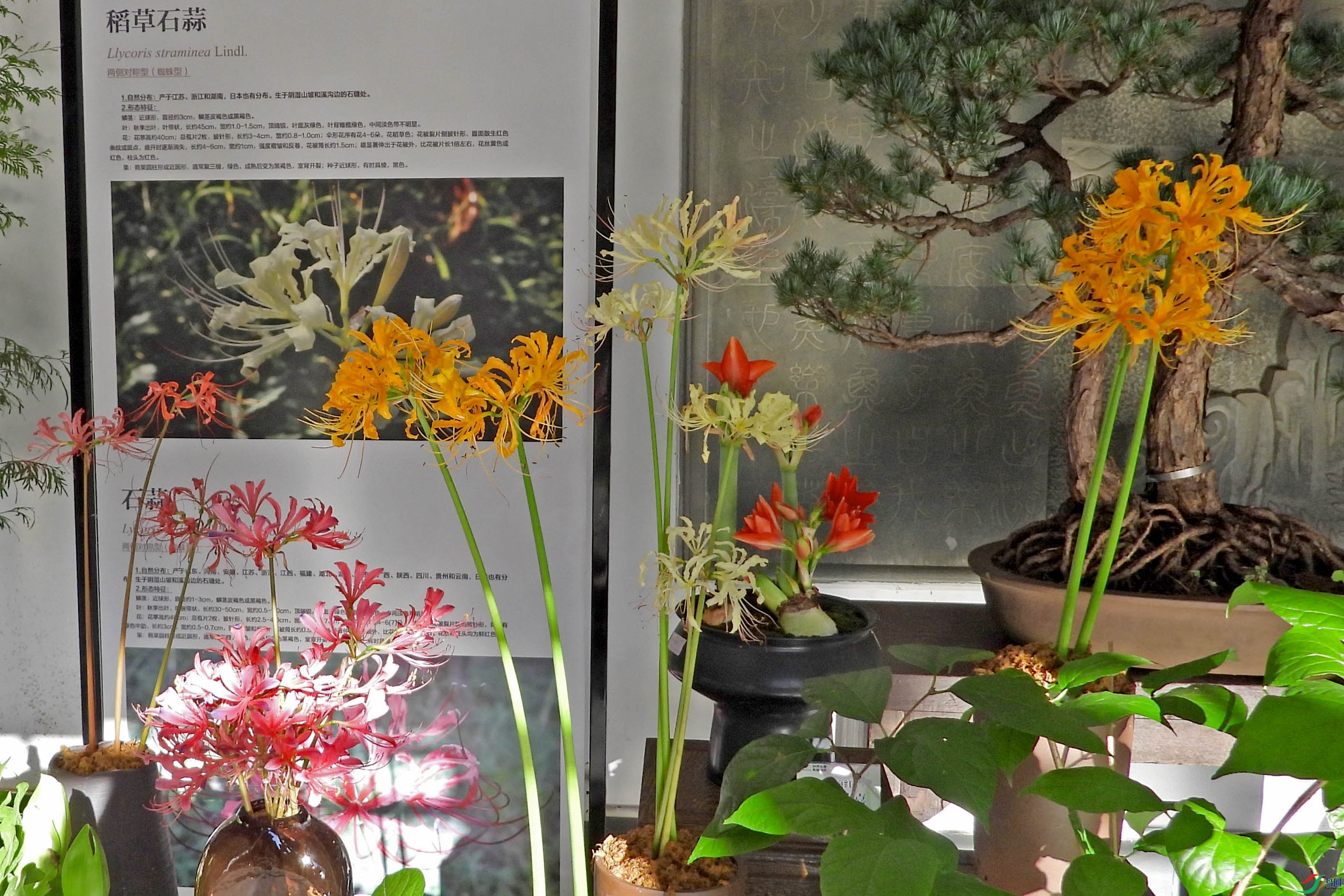 DSCN5700.JPG