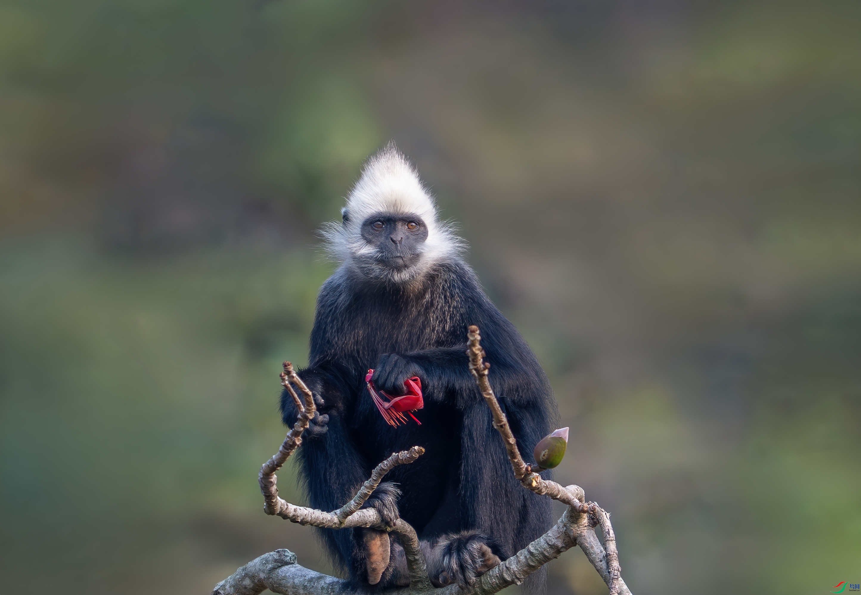 DSC_7968.jpg