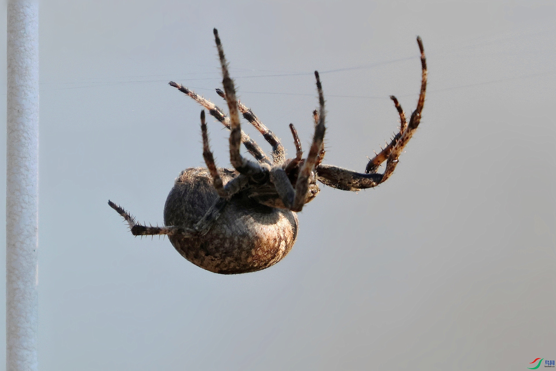 7A9A2261_����.jpg