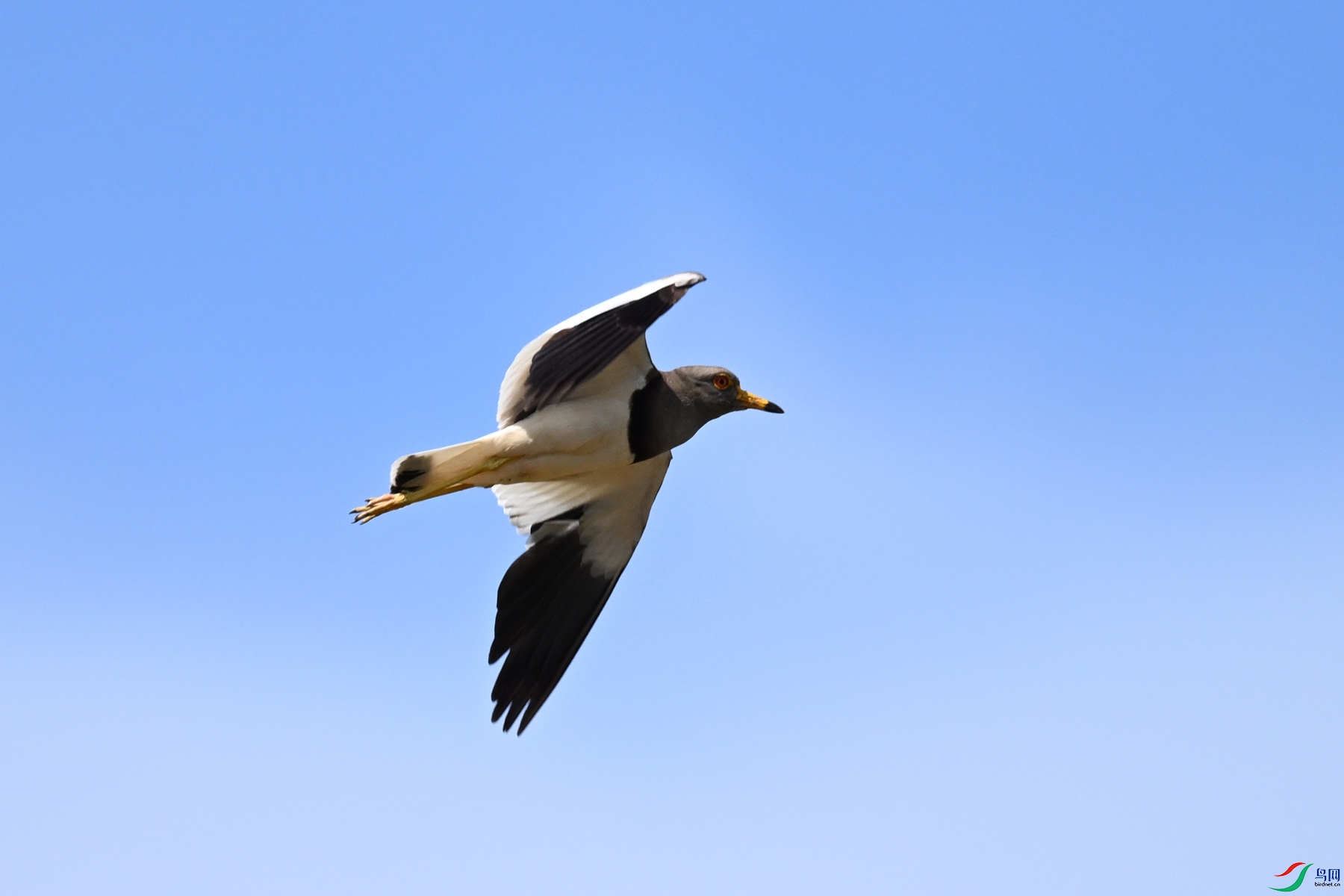 DSC_5319.JPG