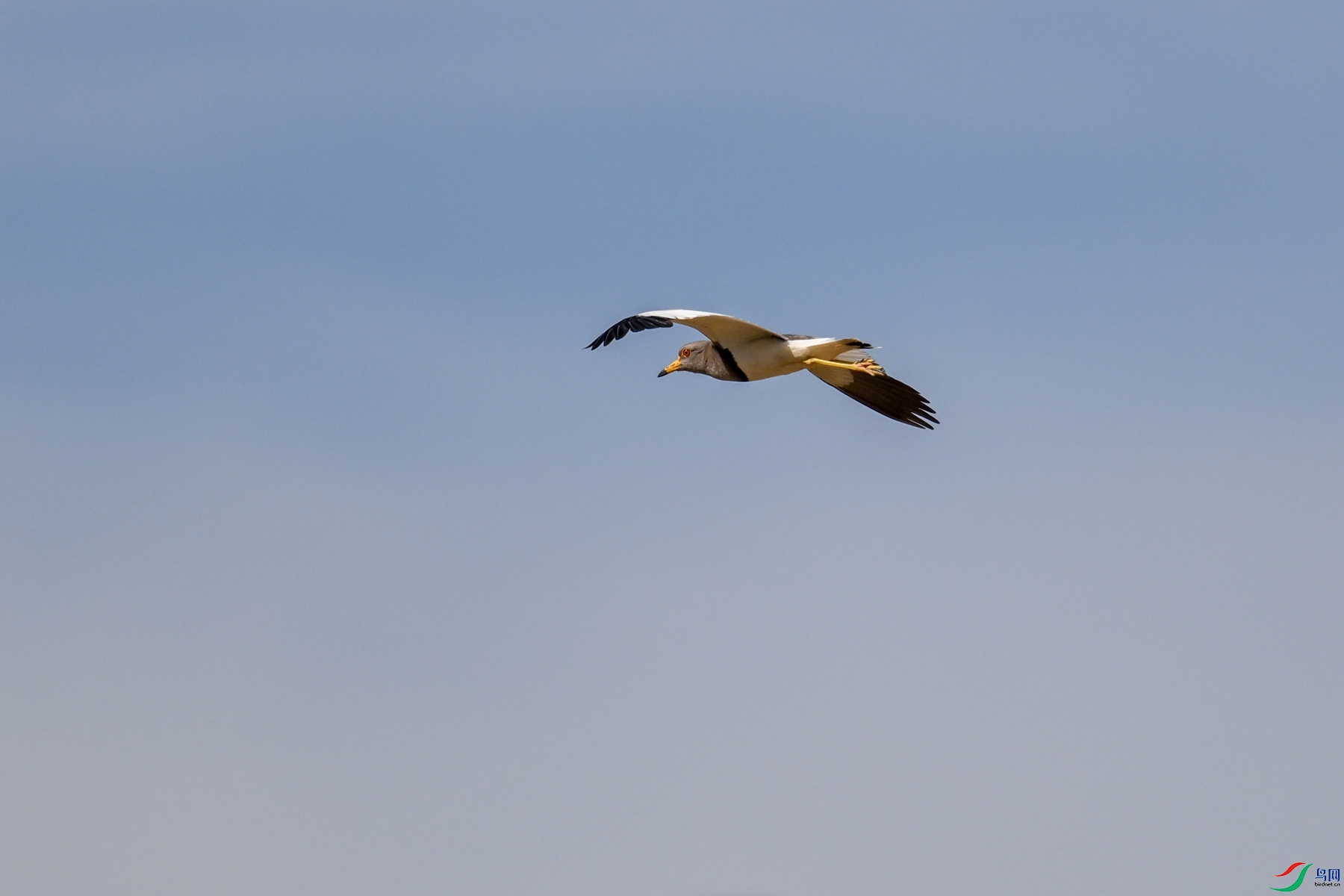 DSC_5299.JPG