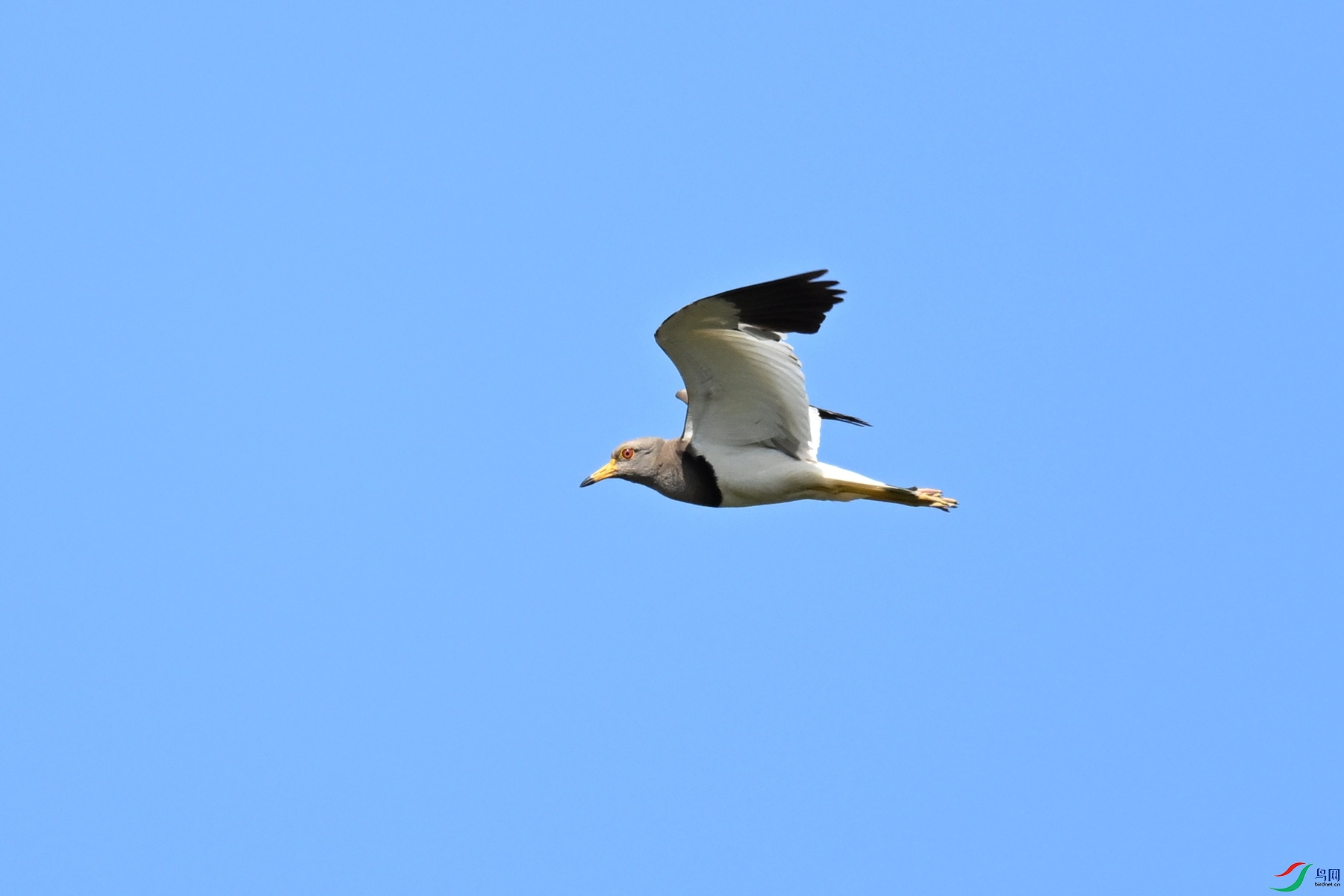 DSC_5332.JPG