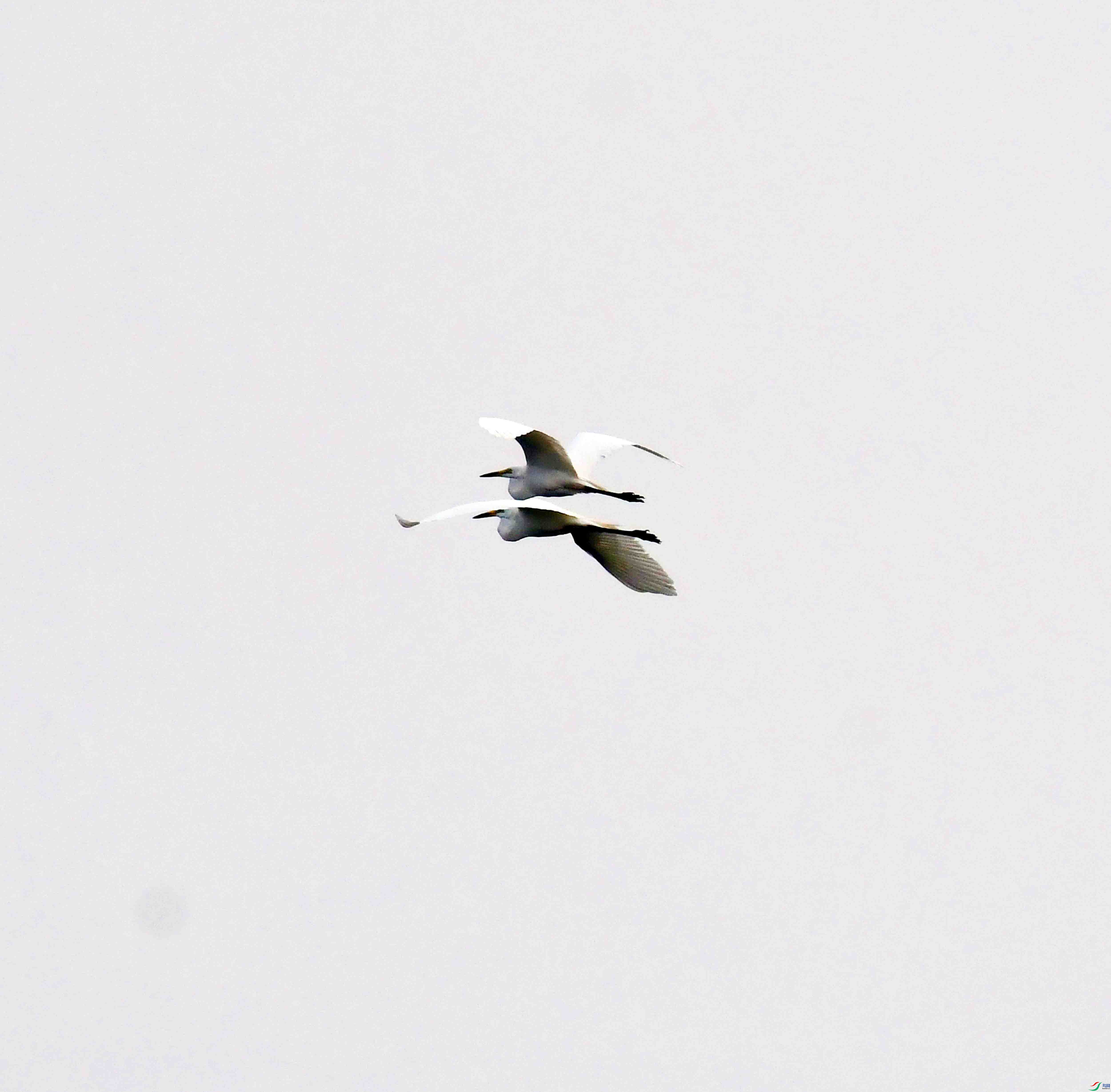 DSC_4913.JPG