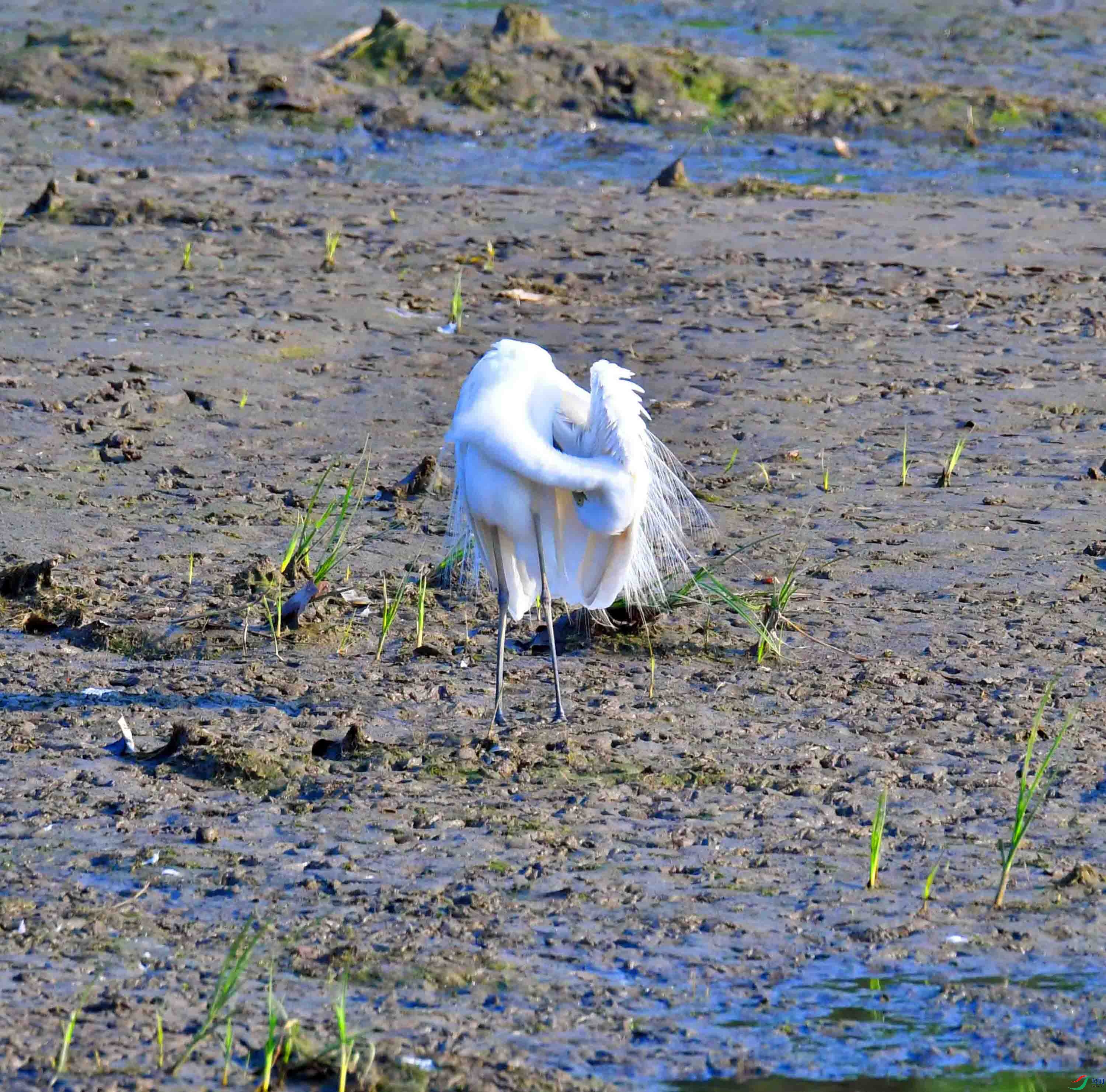 DSC_4824.JPG