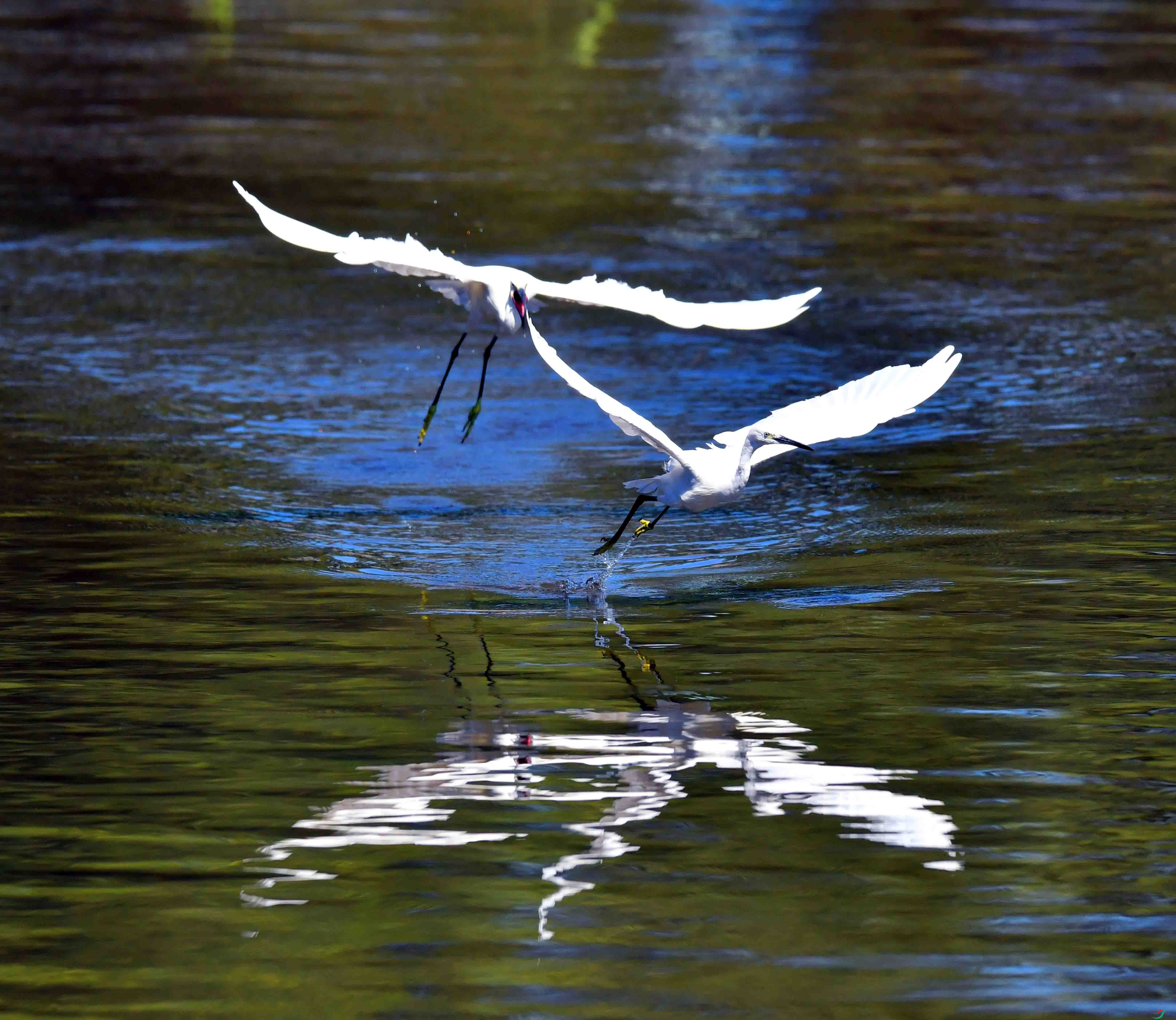 DSC_5465.JPG