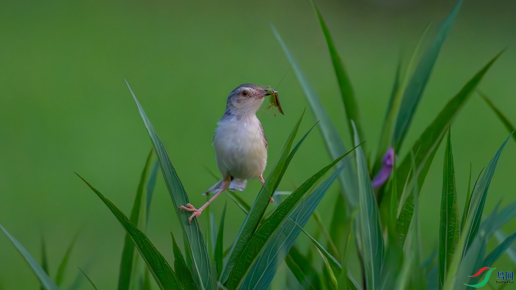 DSC_9578_����.jpg