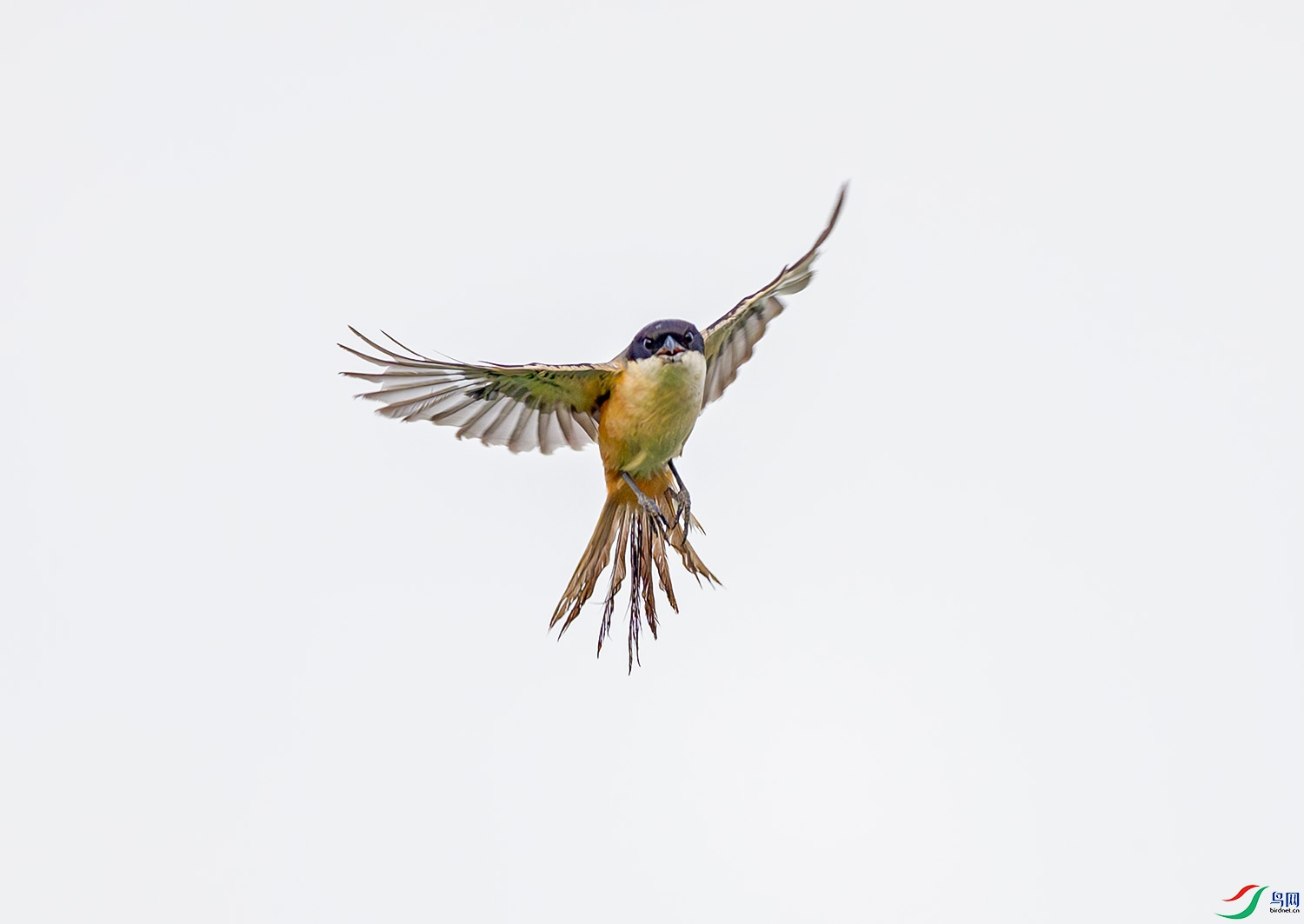 G47A0941-����ǿ-NR ����.jpg