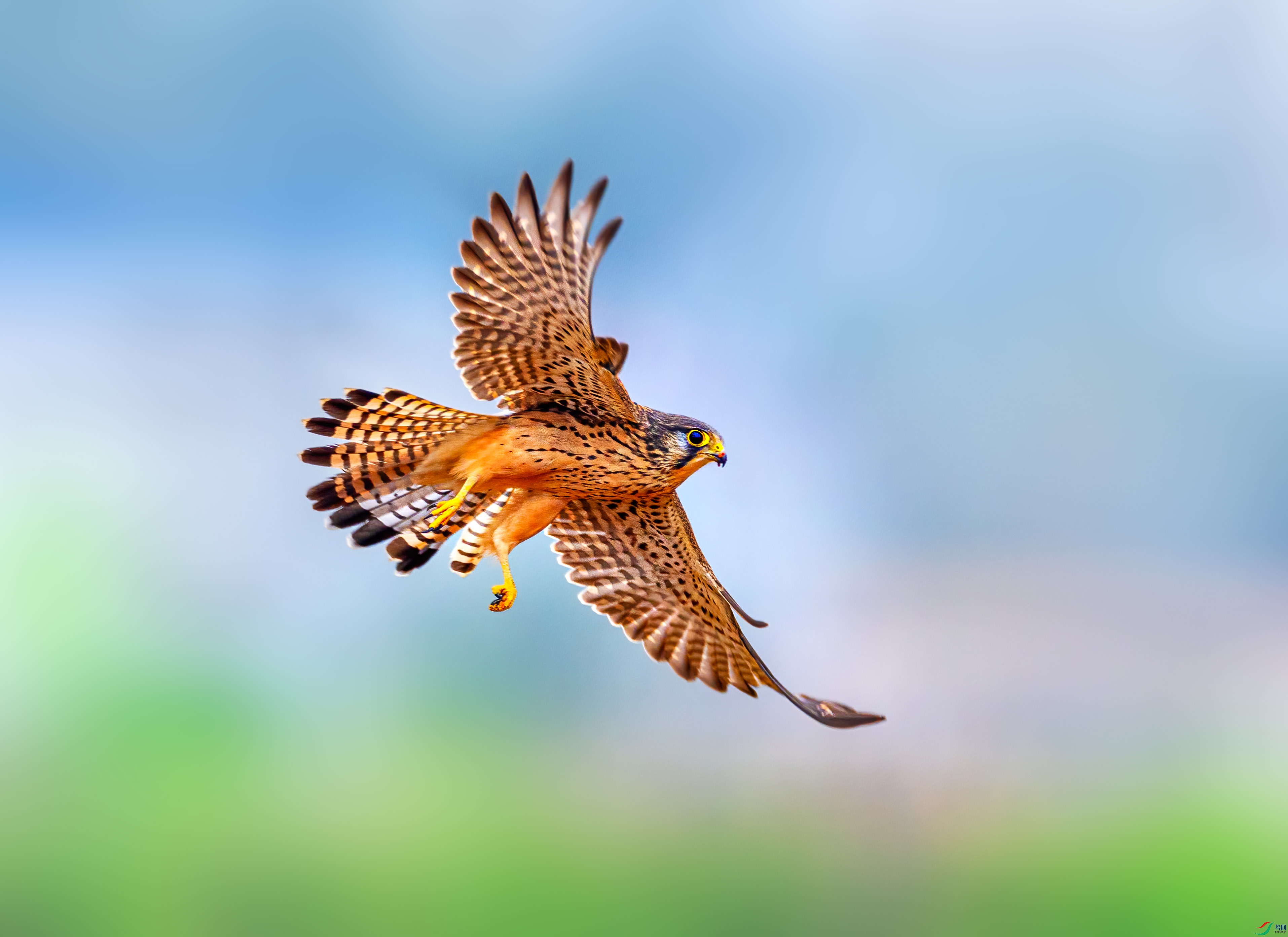0G6A5334-��.jpg