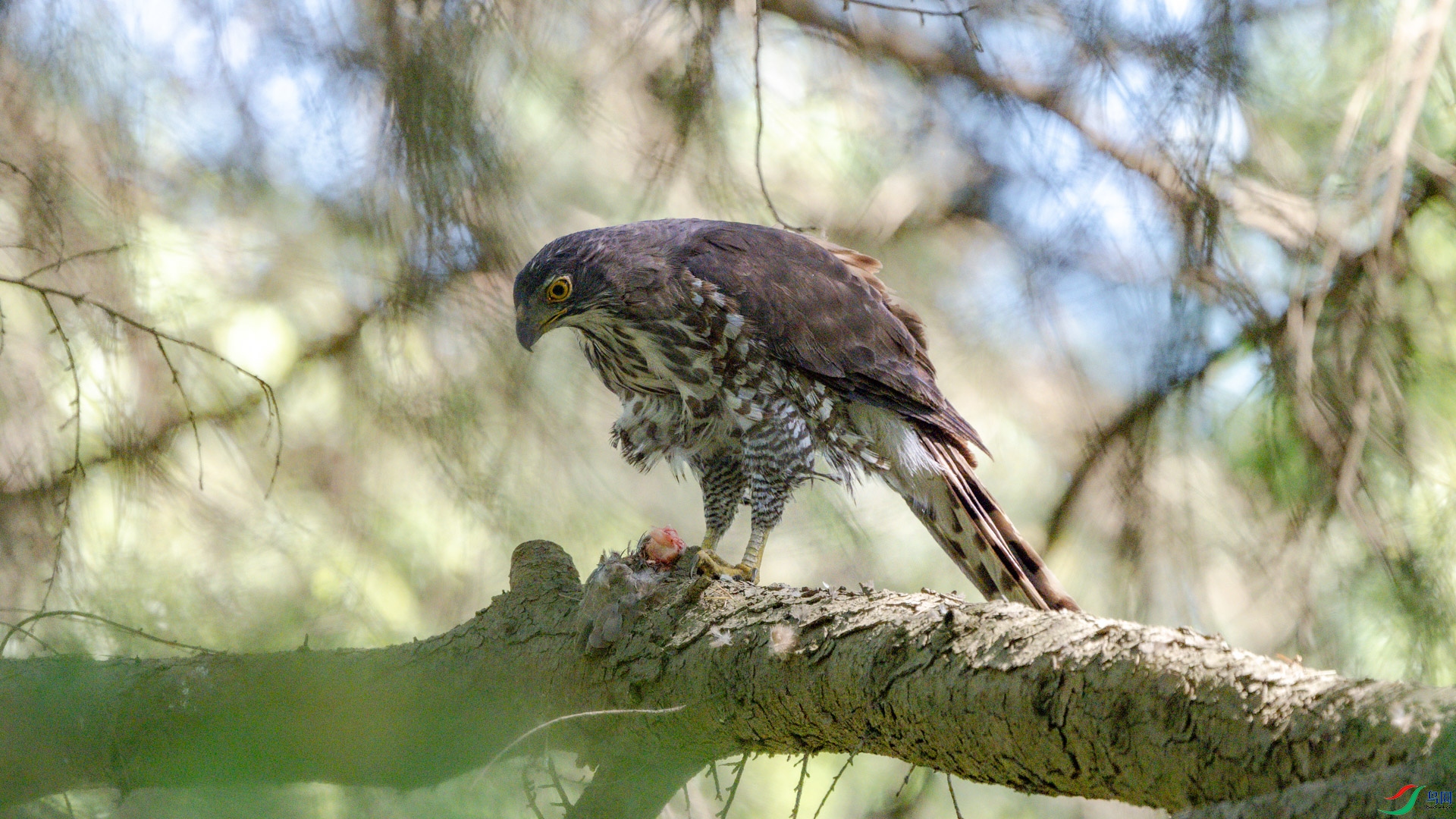 DSC_6127.jpg