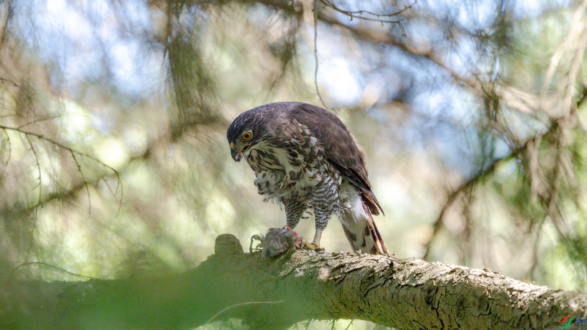 DSC_6172.jpg