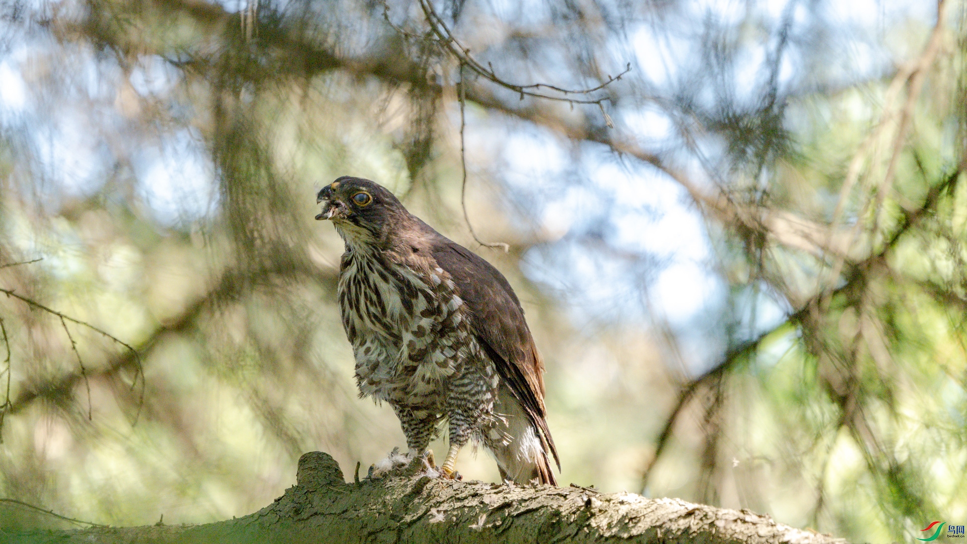 DSC_6274.jpg