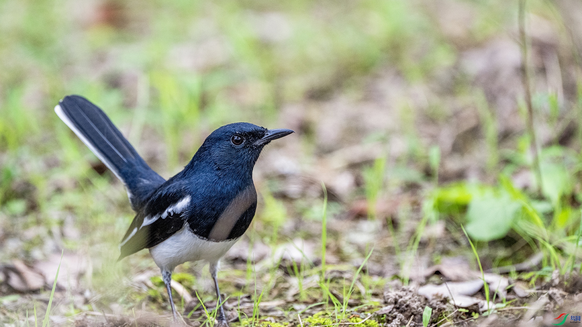 DSC_3416.jpg