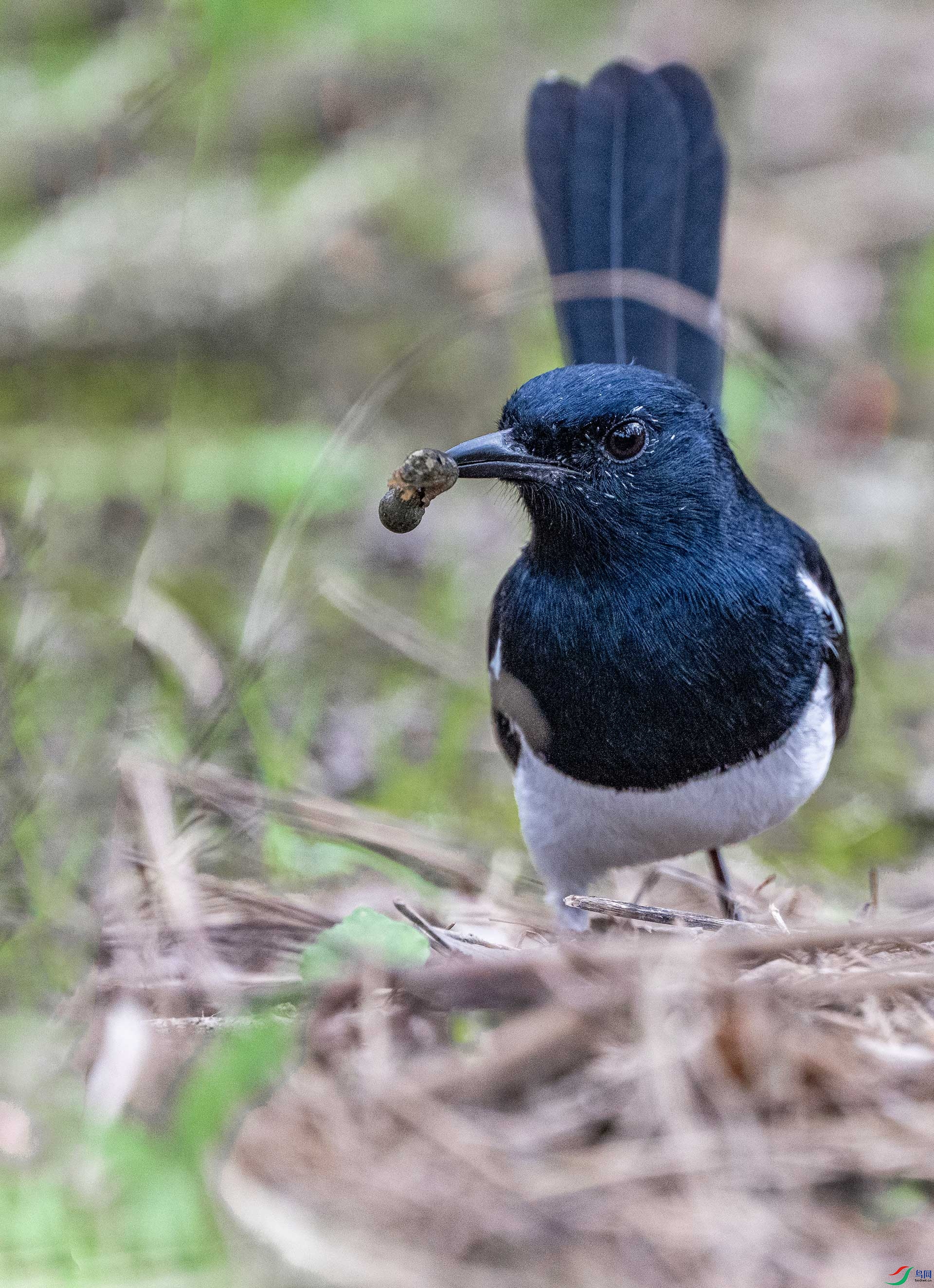 DSC_3424.jpg