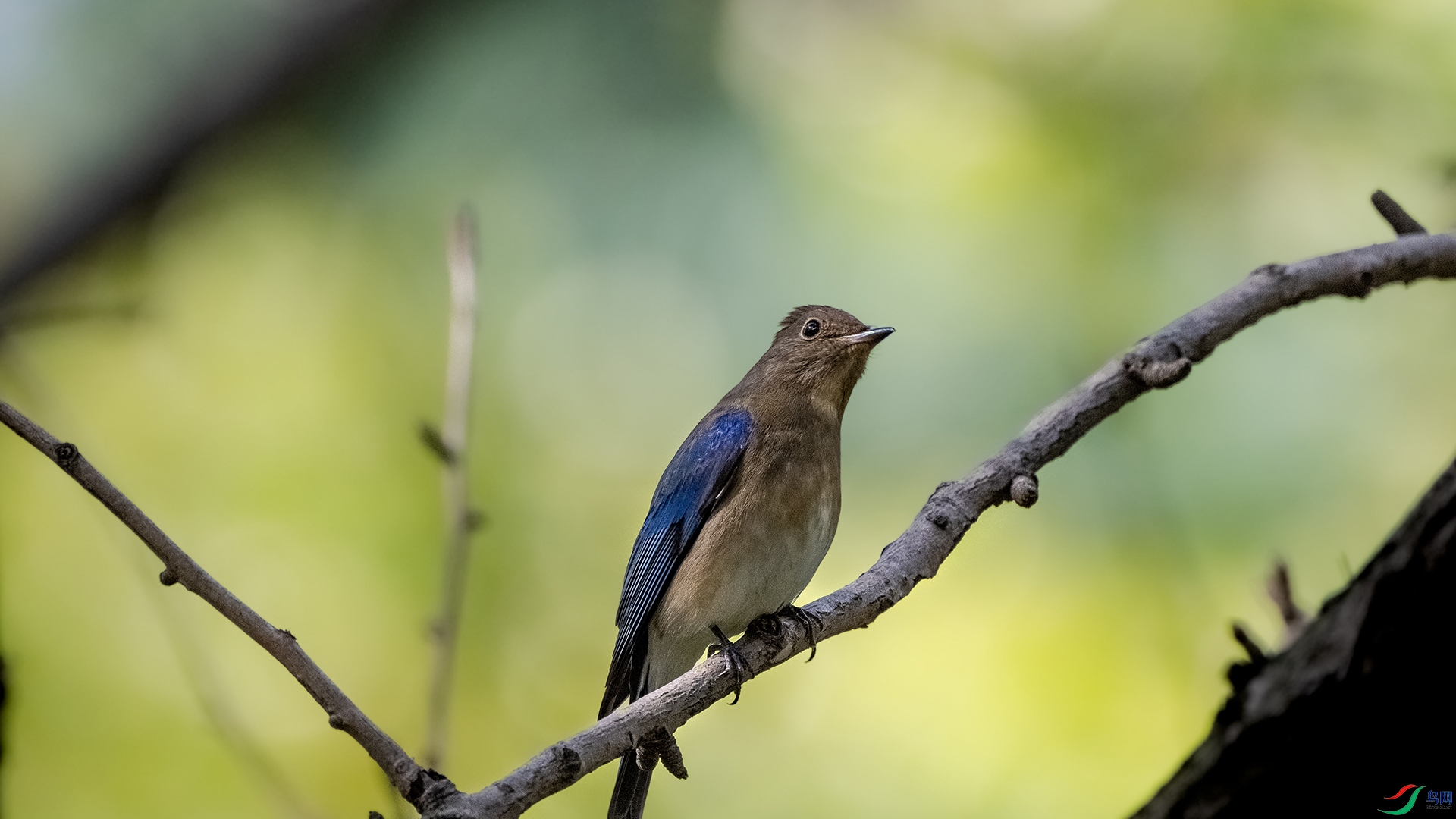 DSC_5602.jpg