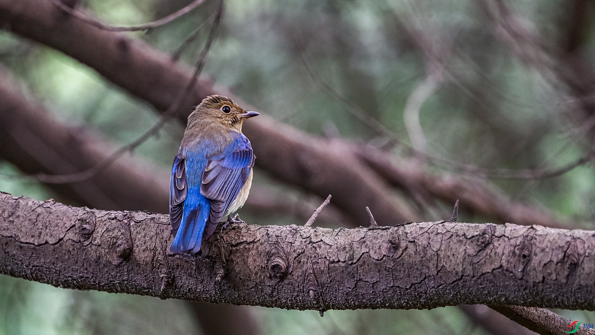 DSC_5793.jpg
