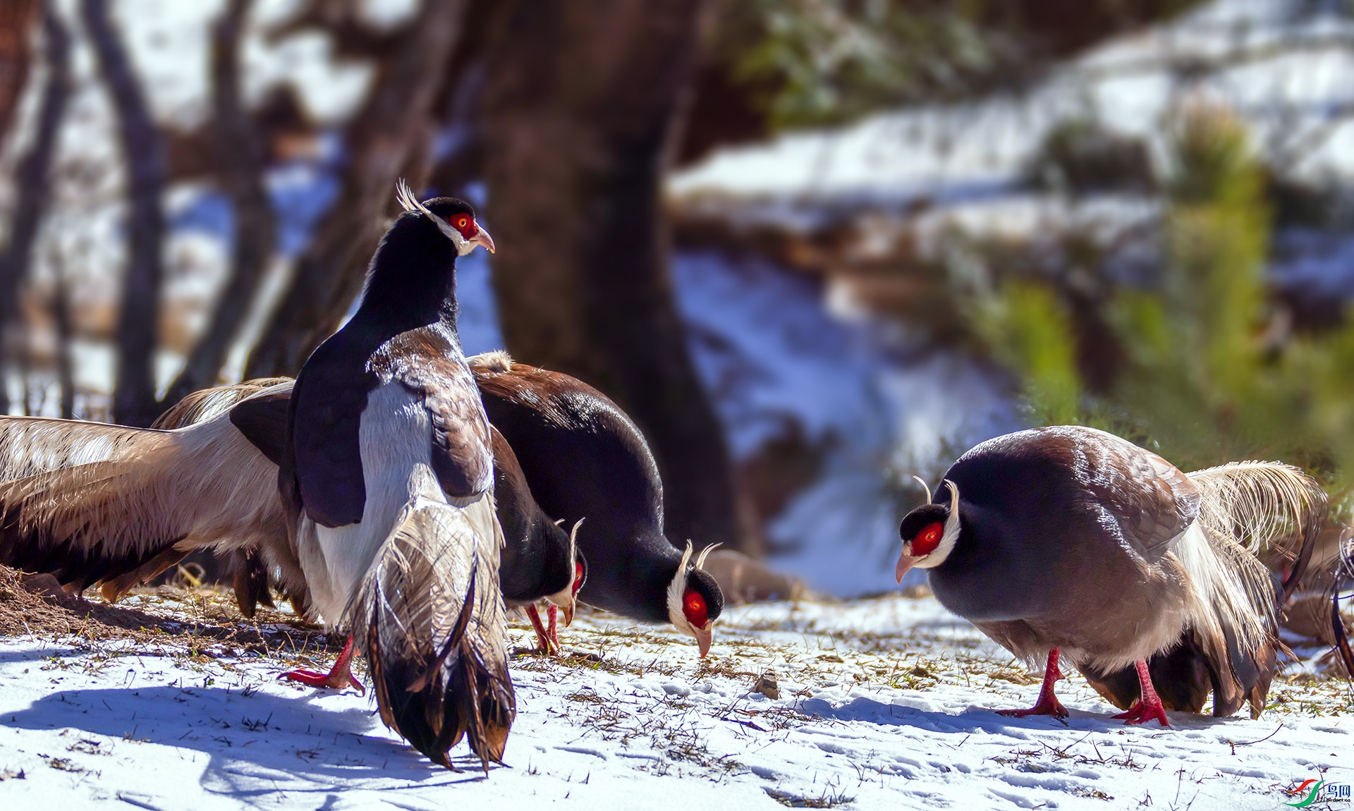 _07A7753 ����----1 .jpg