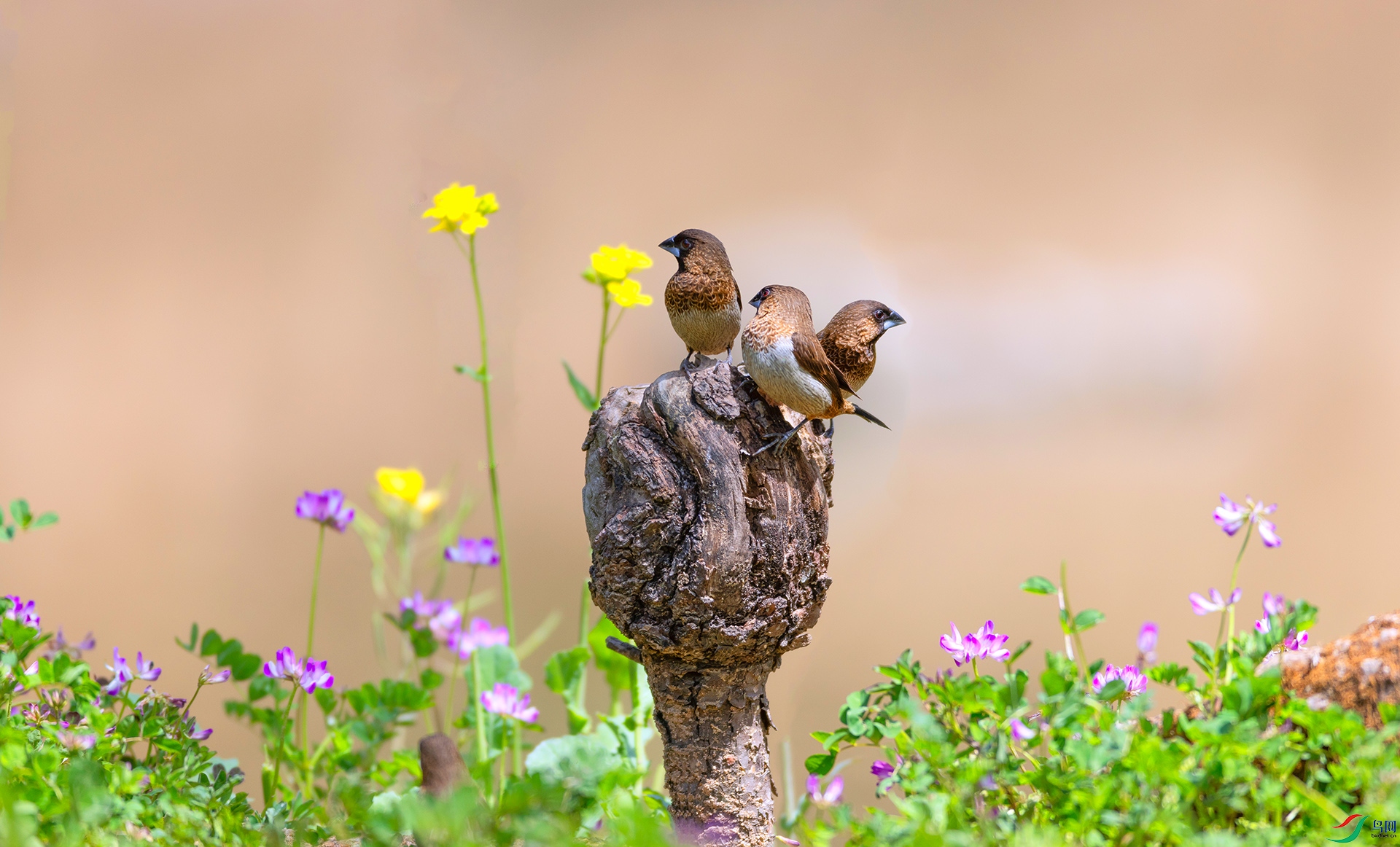 407A2048 ����---19.jpg