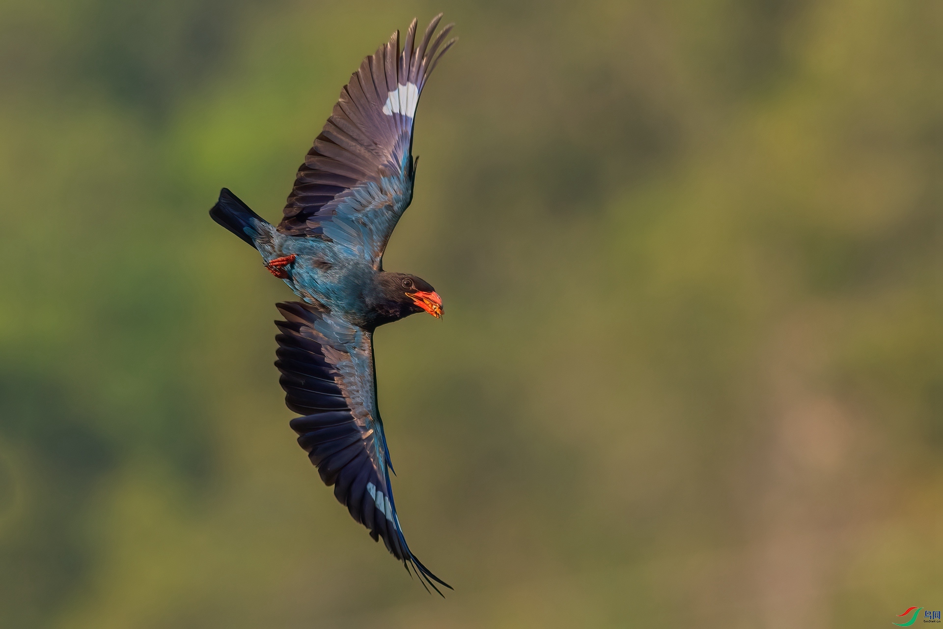 B86I7015 _����.jpg