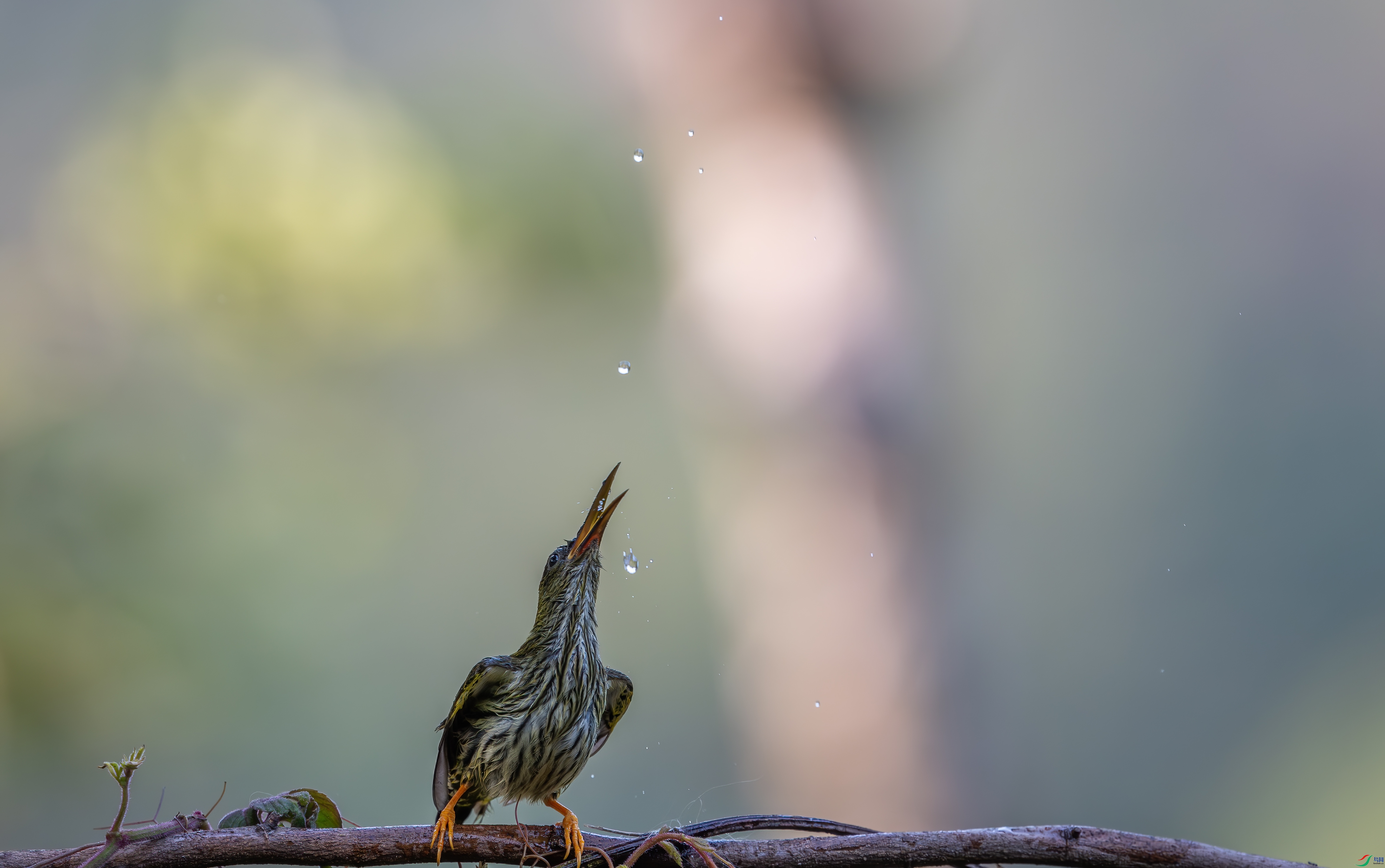 DSC_1042-2.jpg
