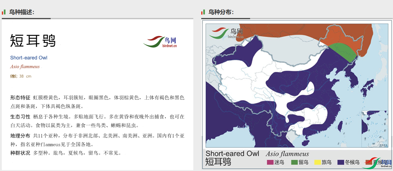 cef8599a4b8135f0a30a91a33f0839d.png