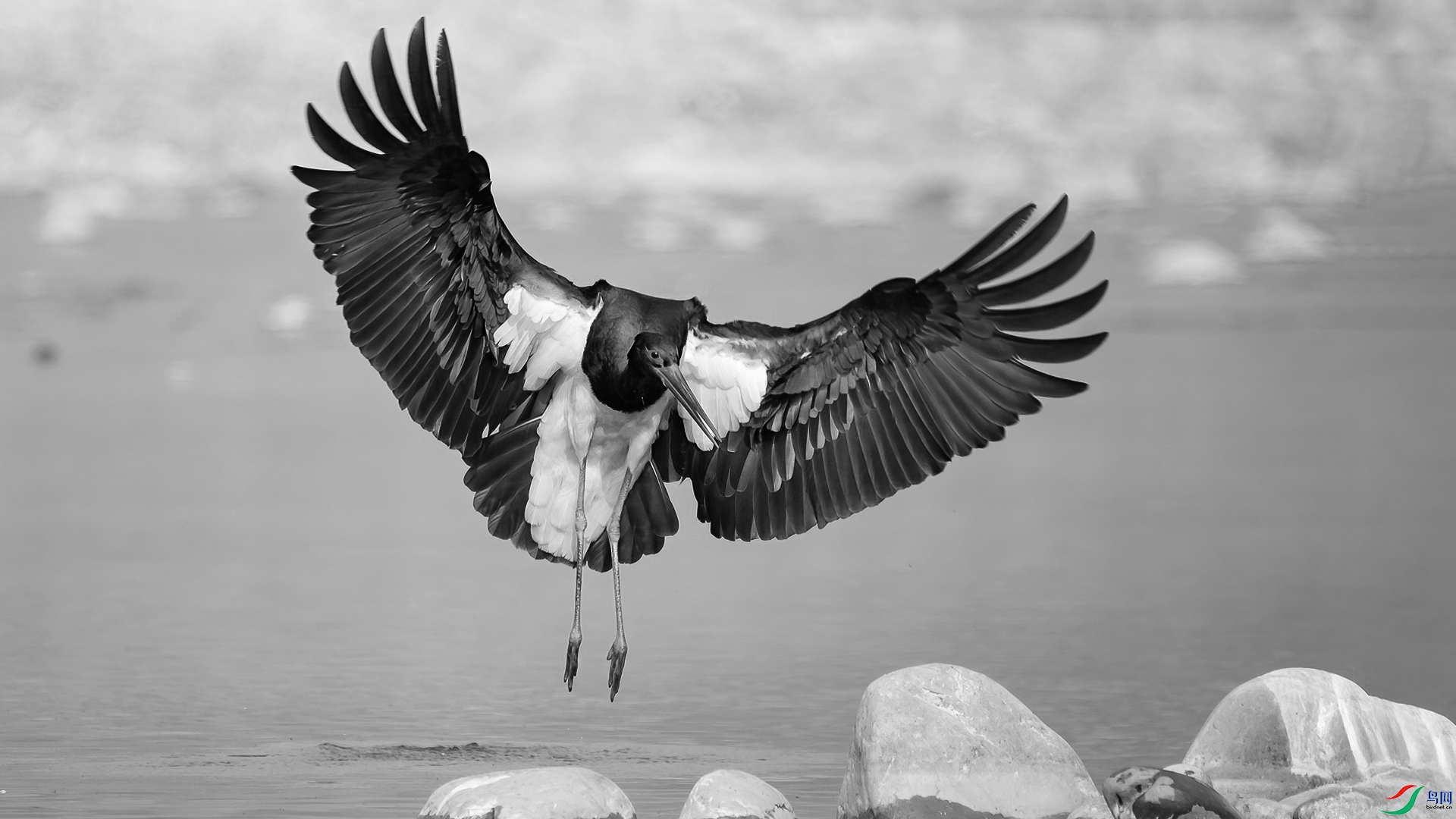 _DSC5566-20220217�� .jpg