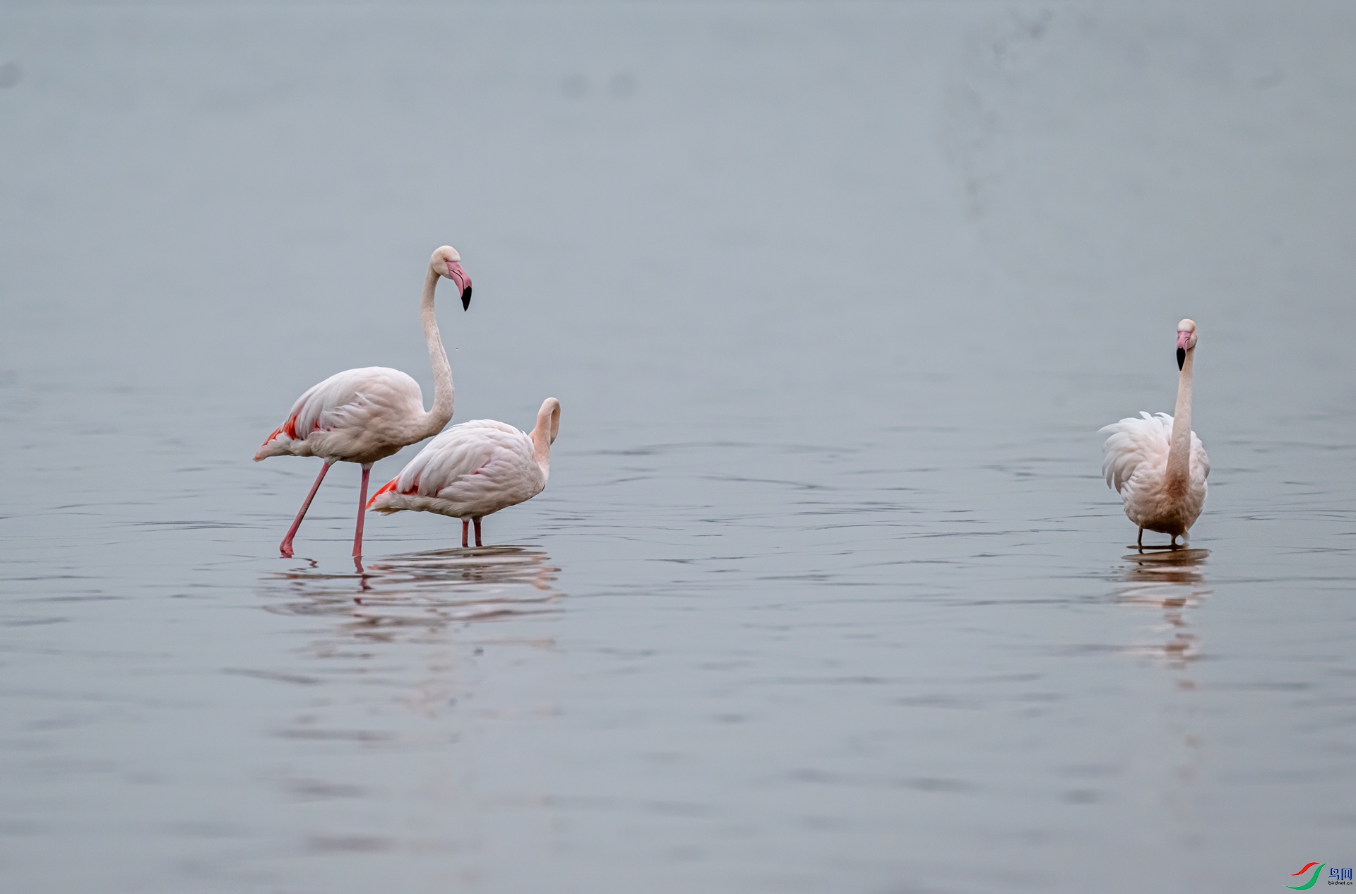 DSC_0337-1.jpg